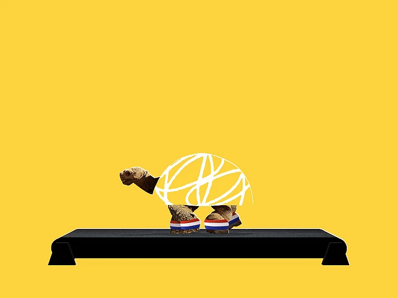 working-out-final-turtle.gif
