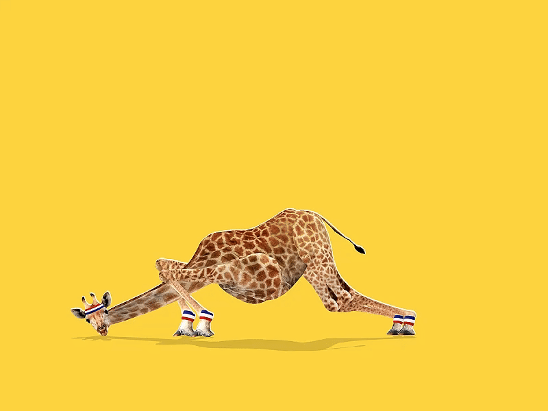 working-out-final-giraffe.gif