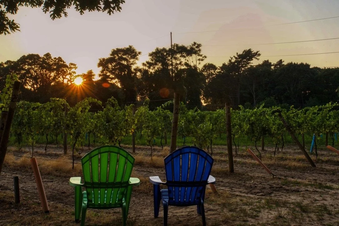 Sunset in the Vines with Orchard Street Eats