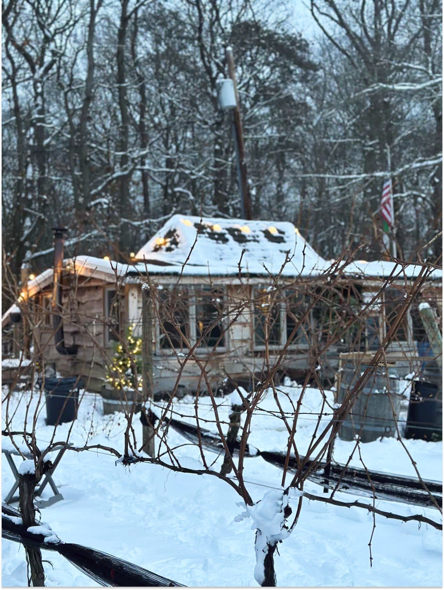 Snow Day! Due to the impending storm, Loughlin Vineyard will be closed tomorrow, Sunday January 25th. Can't wait to see you all next Friday! Stay safe and warm ❄