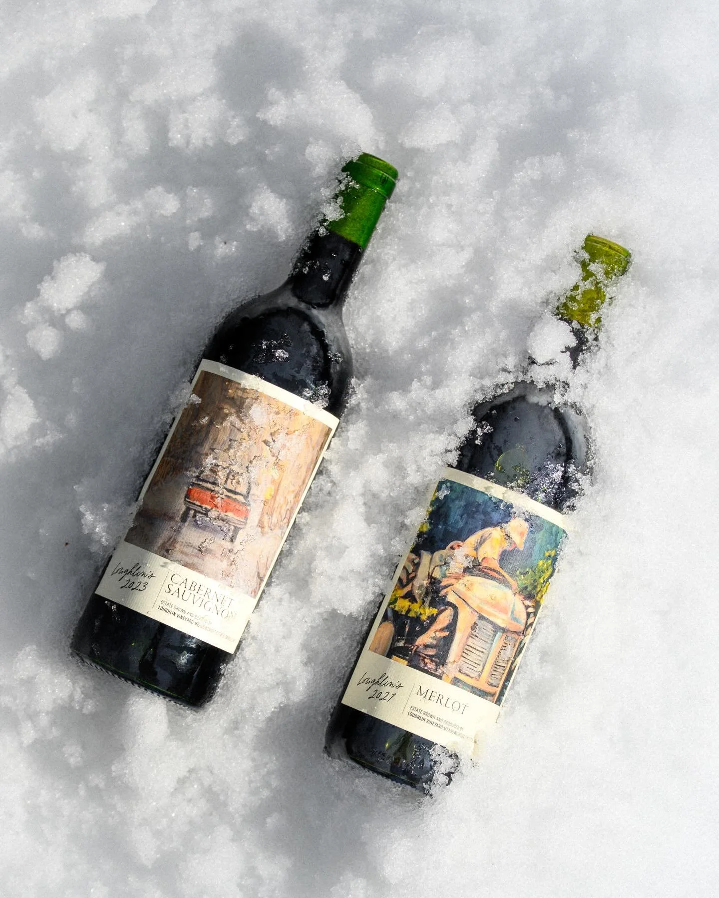 Our snow babies 🤍