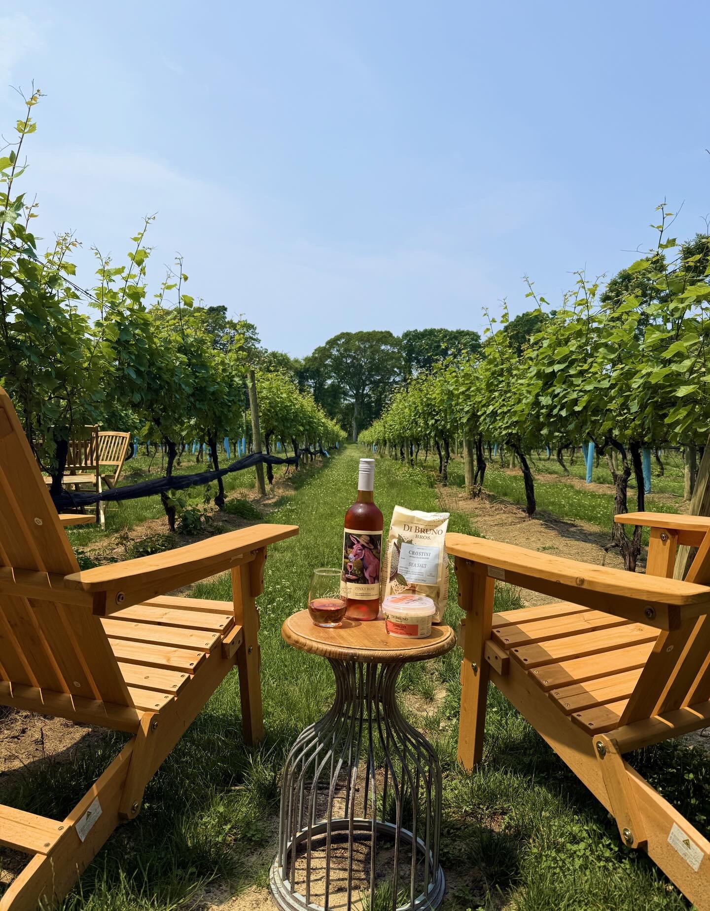 Mother&rsquo;s Day Weekend at Loughlin Vineyard 🤍 
Join us Saturday &amp; Sunday, May 9th and 10th as we celebrate all the moms, grandmothers, and mother figures who mean so much to us. There&rsquo;s nothing better than a day in the vines, a glass o