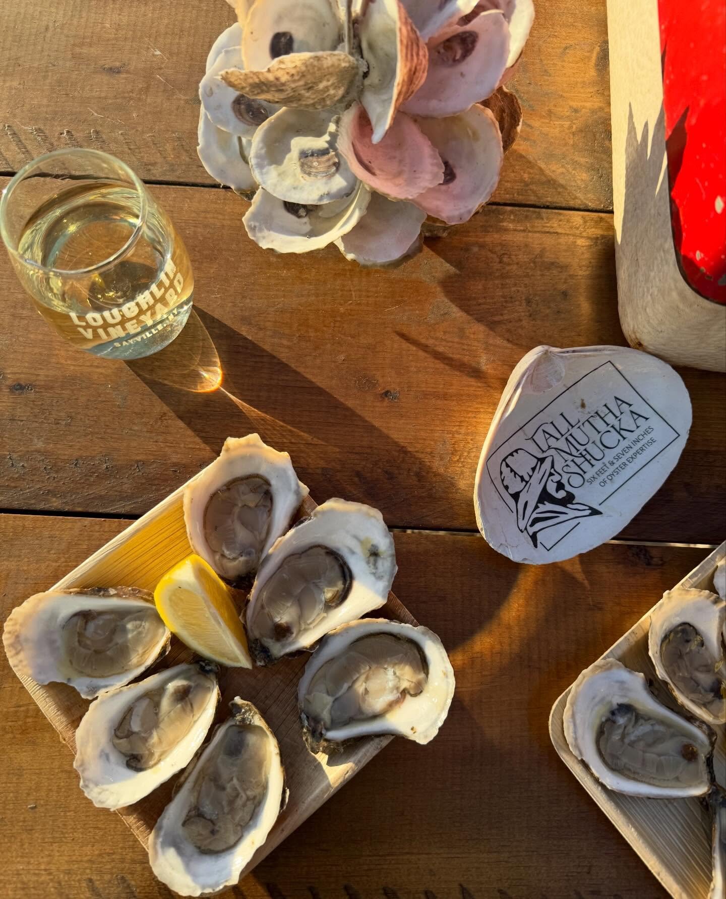 Friday at the vineyard, just how we like it. Oysters start at 3:00 with @tallmuthashucka , shucking fresh selections to pair with your glass.

From 4:00, live saxophone by @pylemusic drifts through the vines as the afternoon rolls on.

Come by, grab 
