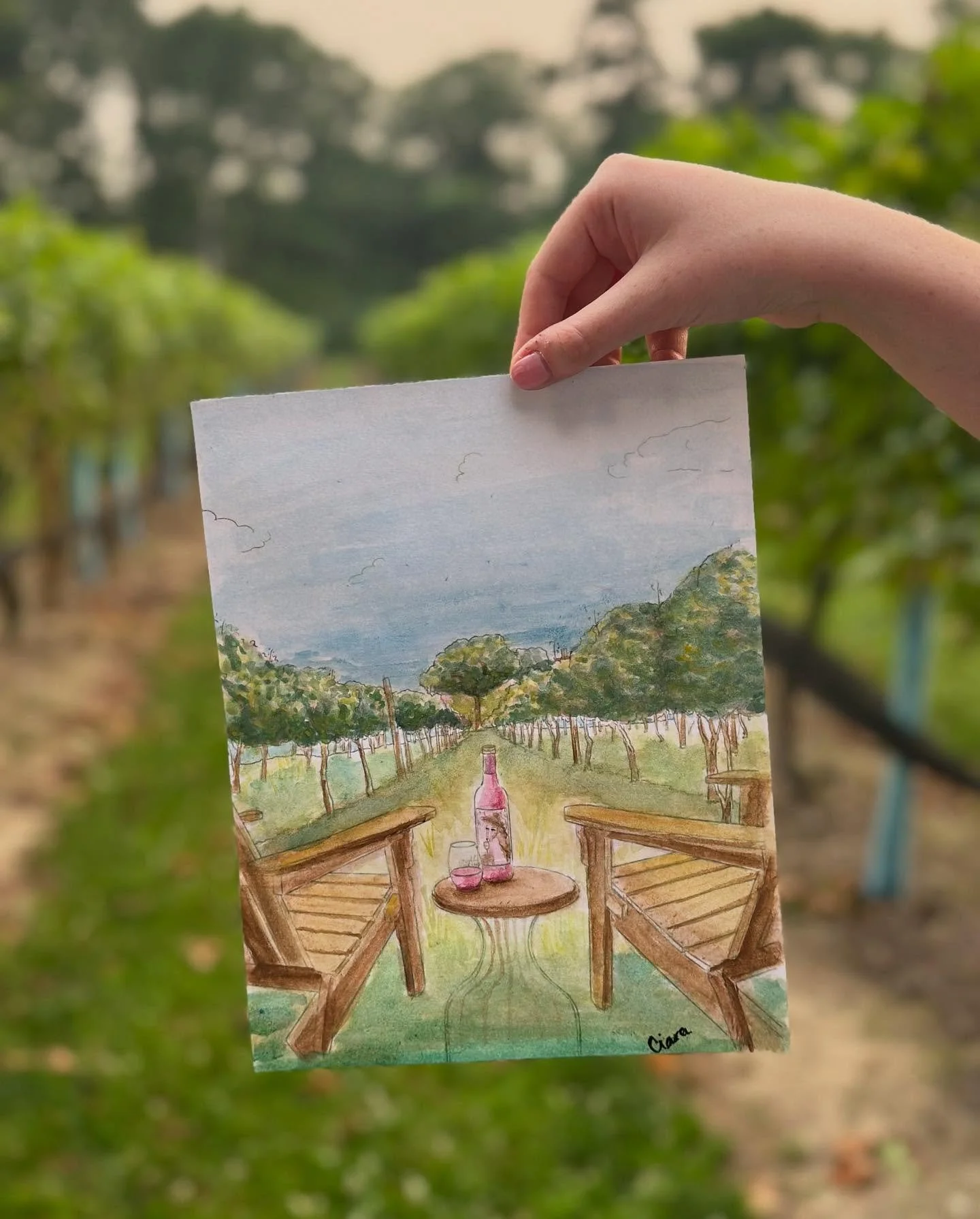 Paint and Sip with Palmette