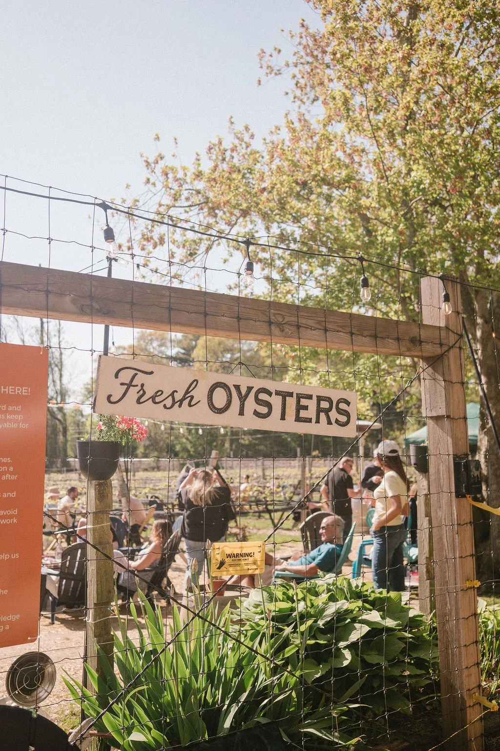Saturday Sounds with Paris Ray, Oysters by Tall Mutha Shucka and Food by Orchard Street