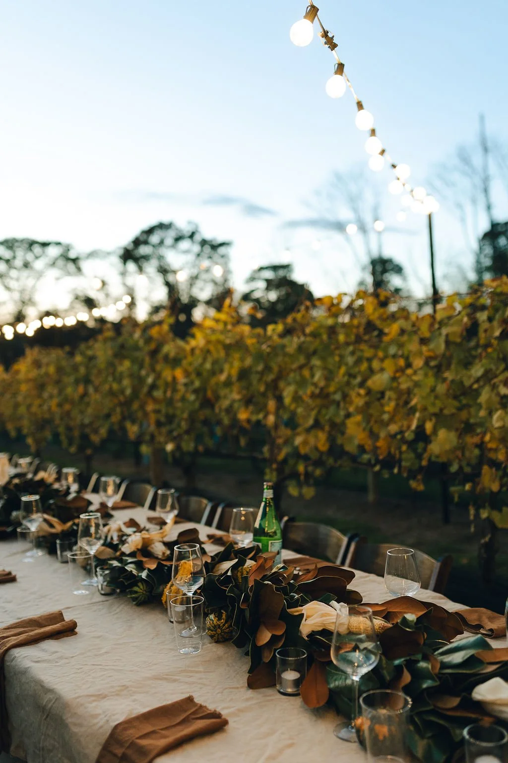 f4f9ba98bbf9256e5c8521e84cc55fe2-xlarge (1).jpg