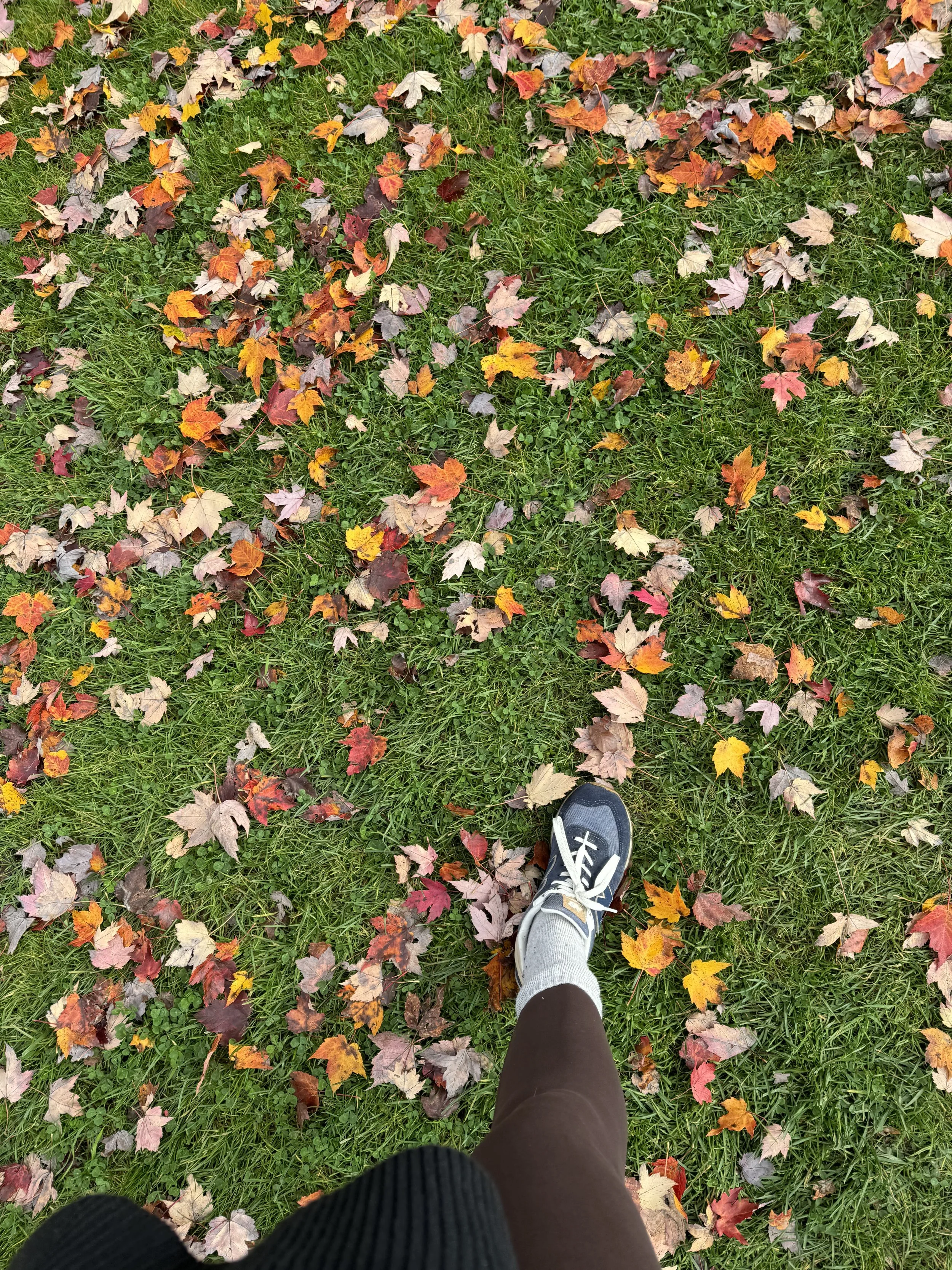 IMG_4105.jpeg