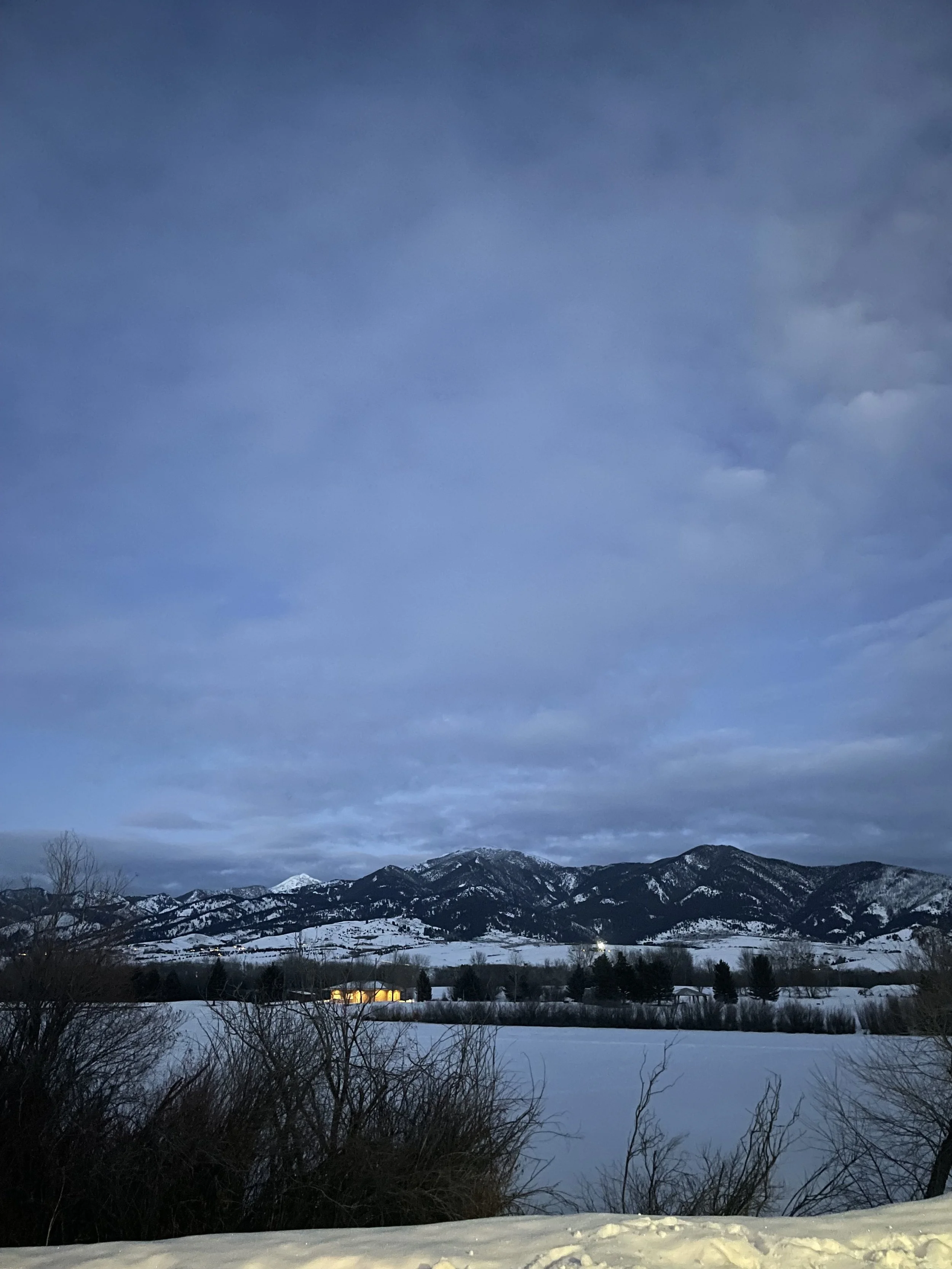 IMG_0537.jpeg