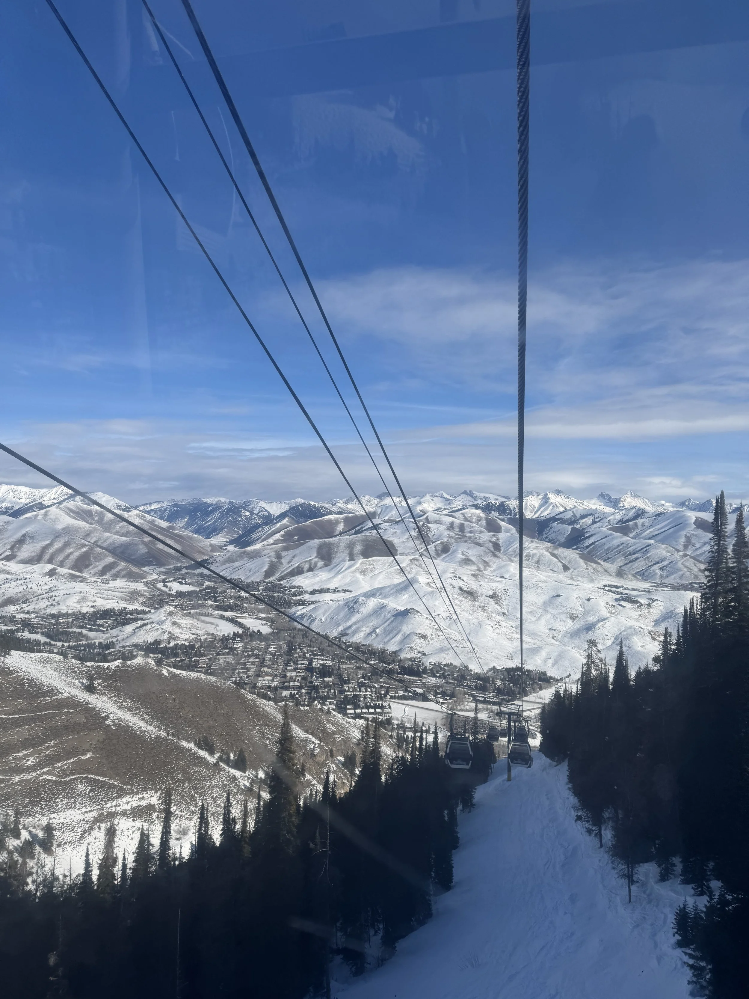 IMG_5547.jpeg