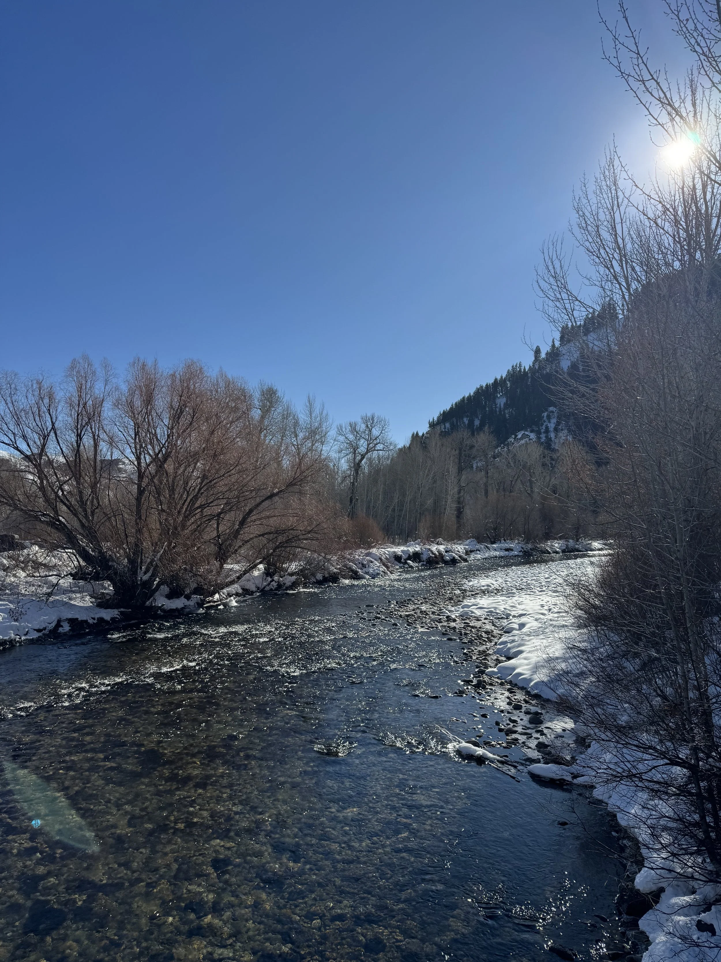 IMG_5483.jpeg