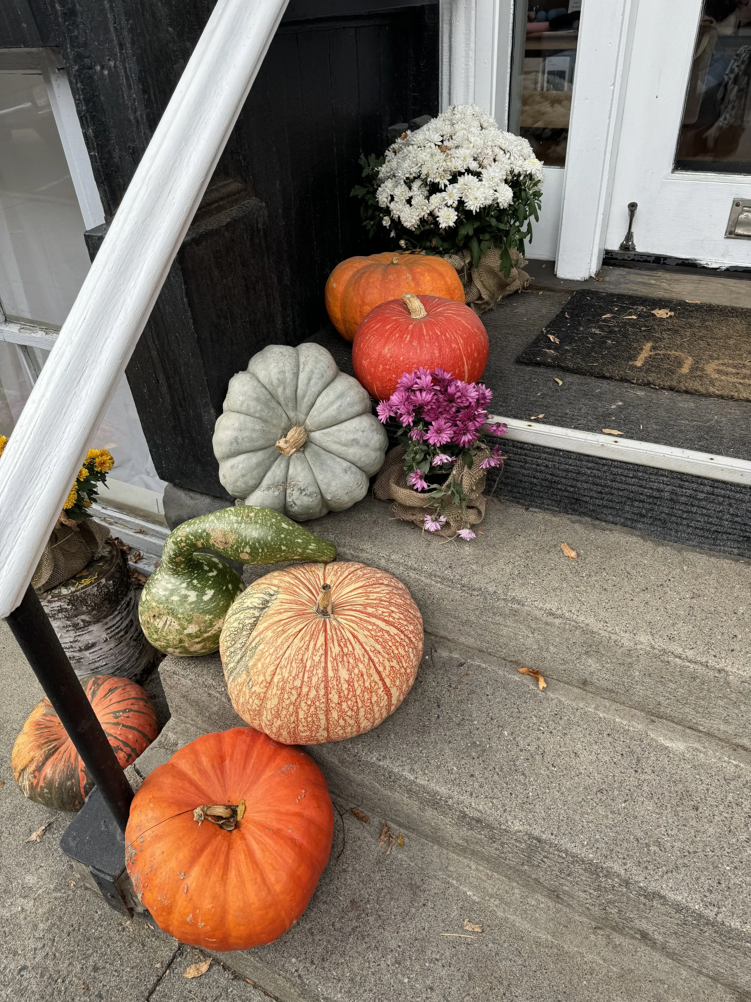 A Minimal/Low Spend Fall