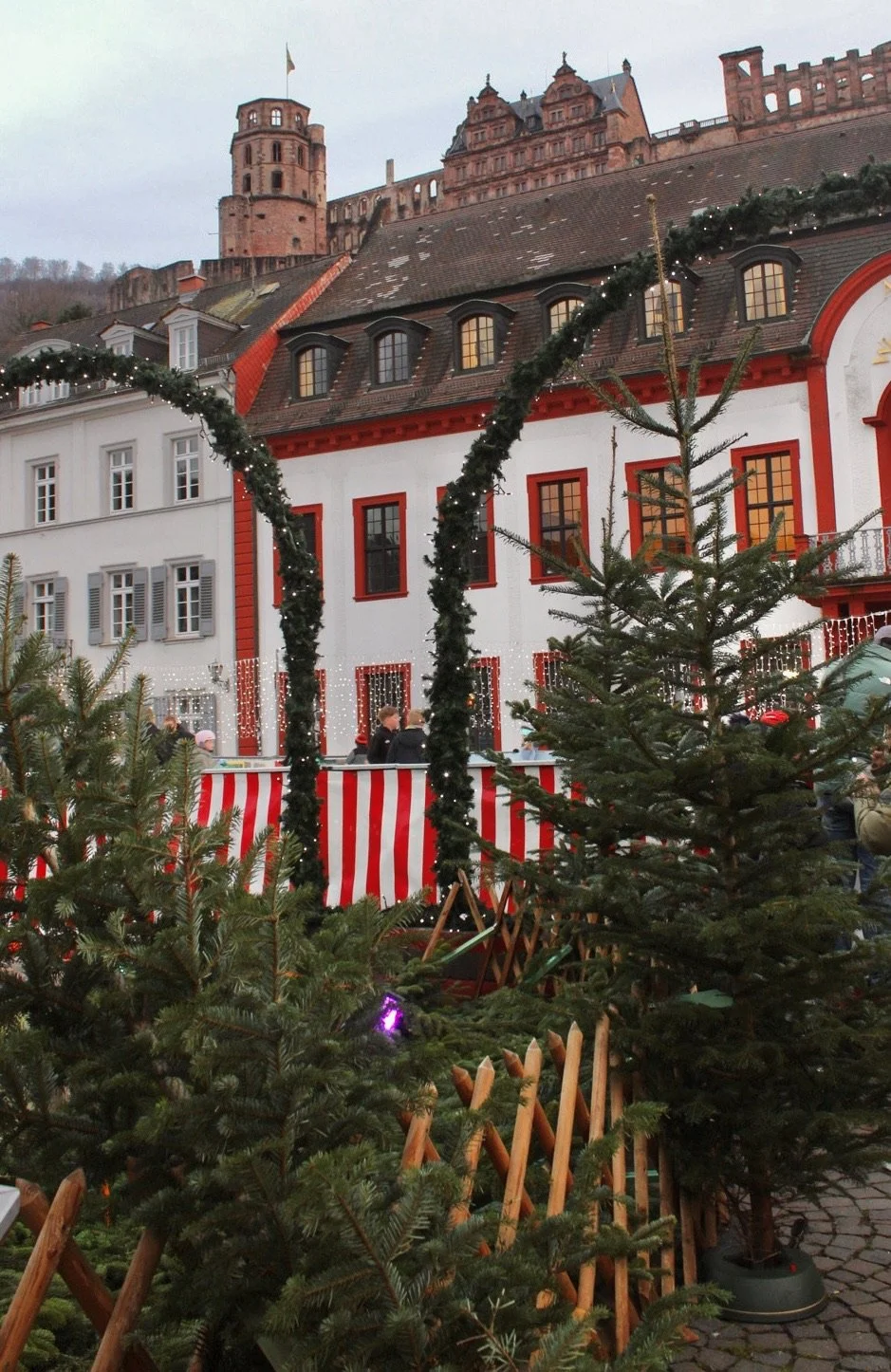 Winter Trip Itinerary: Germany, France and Switzerland