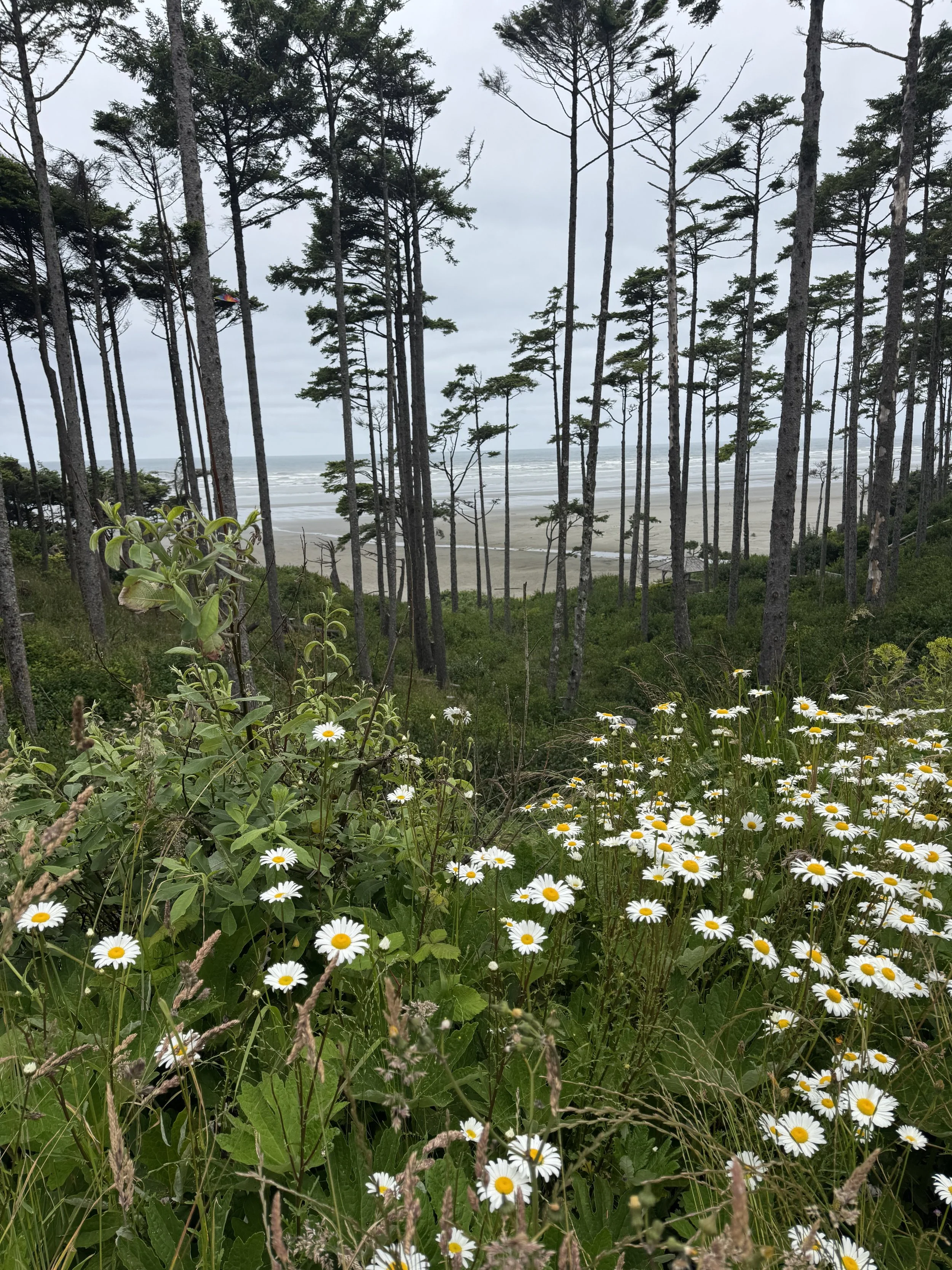 A Long Weekend in Seabrook, Washington