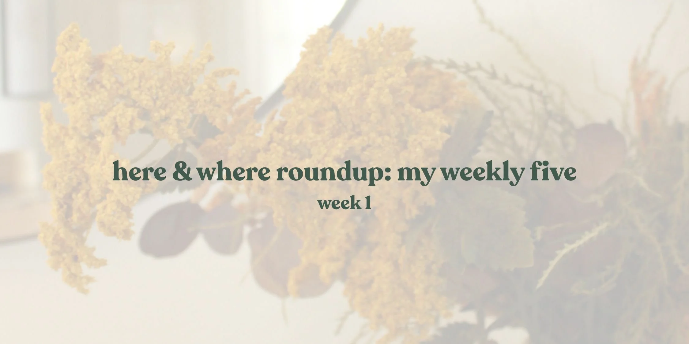 Here &amp; Where roundup: my weekly five