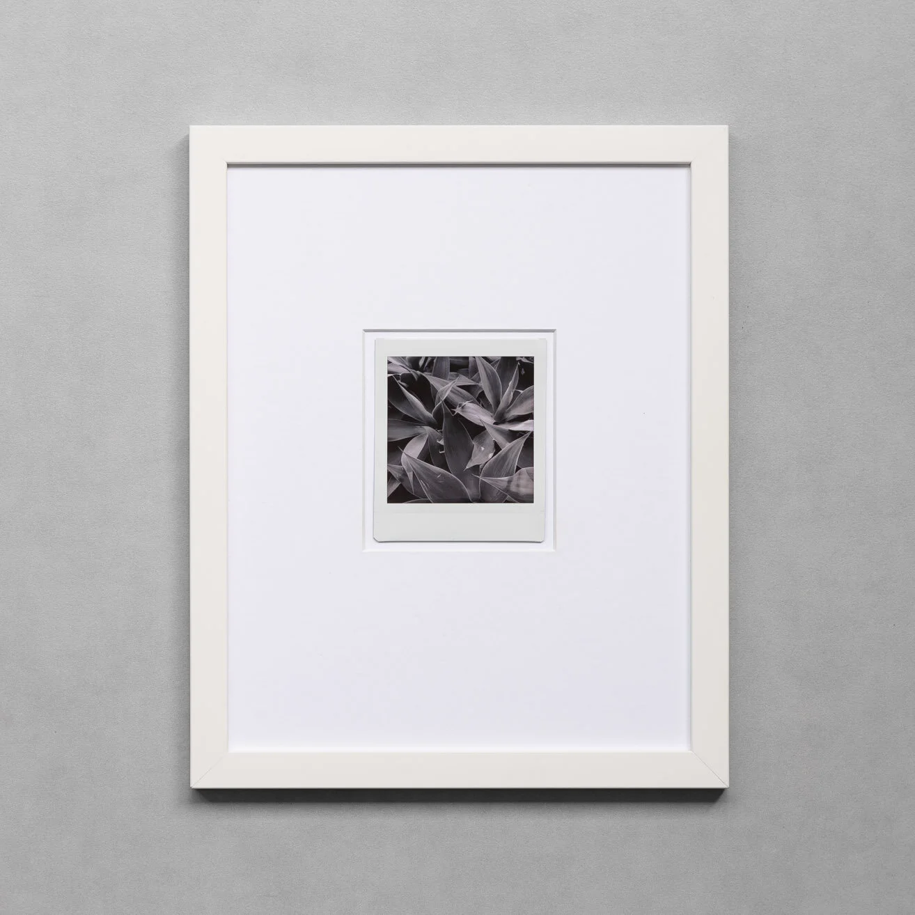 JUSTATHOUGHT-002-2.JPG