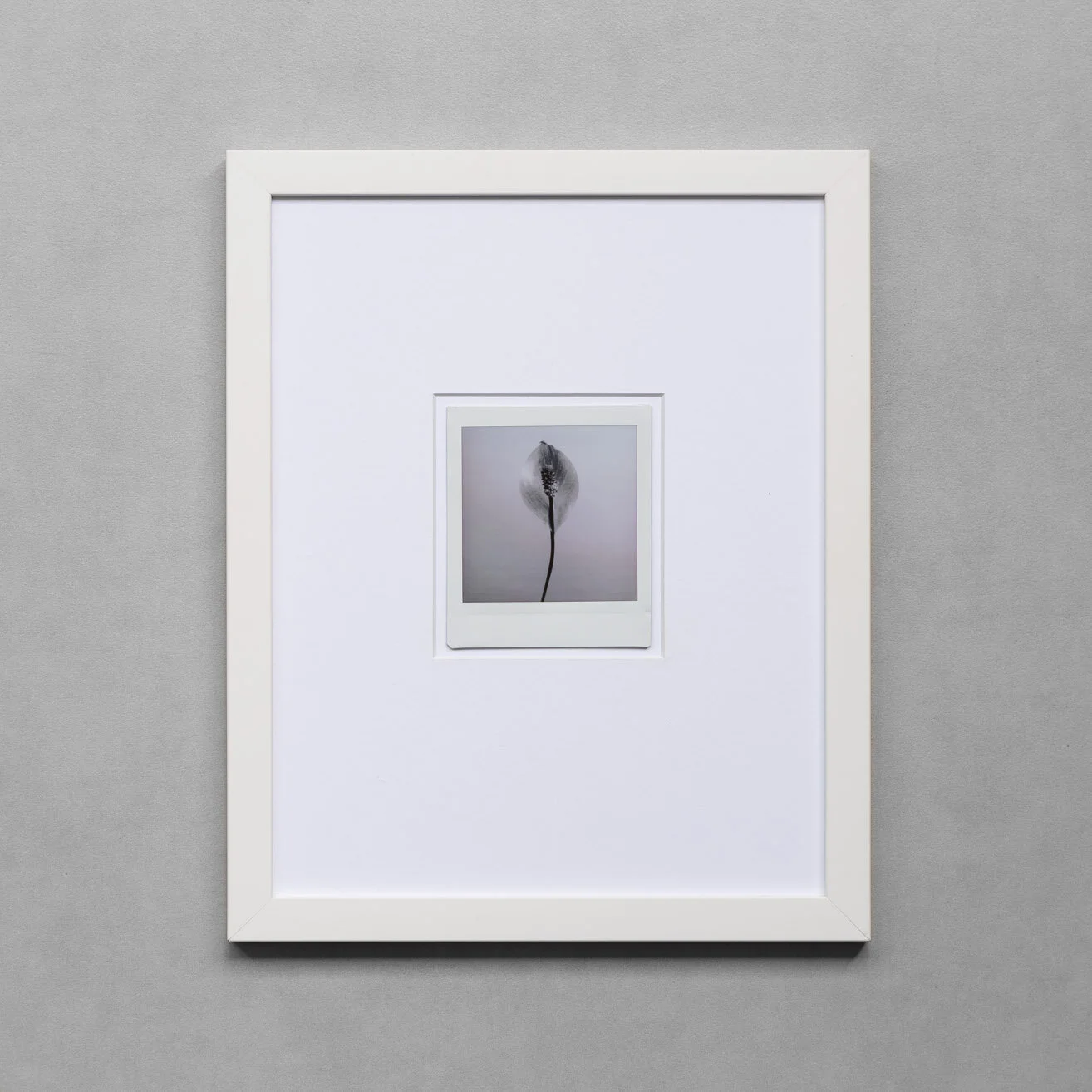 JUSTATHOUGHT-051-2.JPG