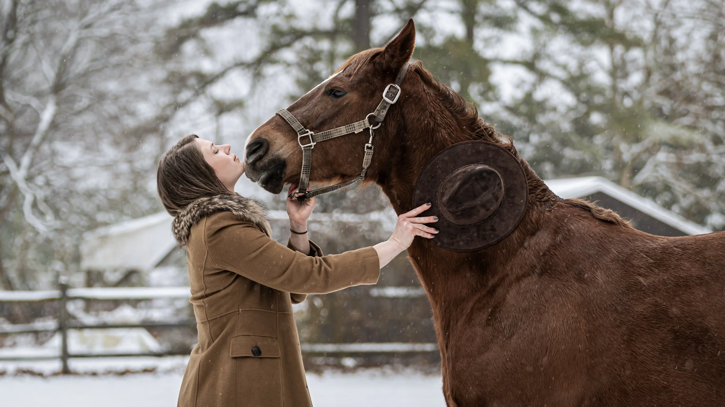 64_Jonanna and Rob's Winter Barn Session [EP].jpg
