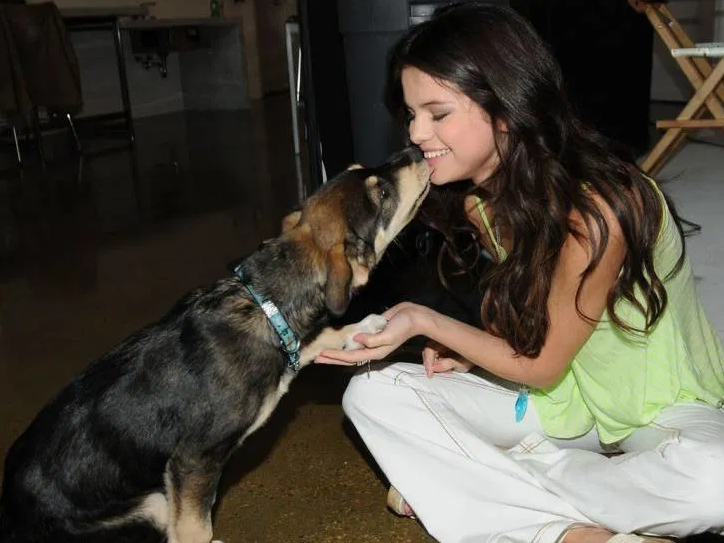 Chiens de célébrités : ces stars complètement fans de leurs chiens