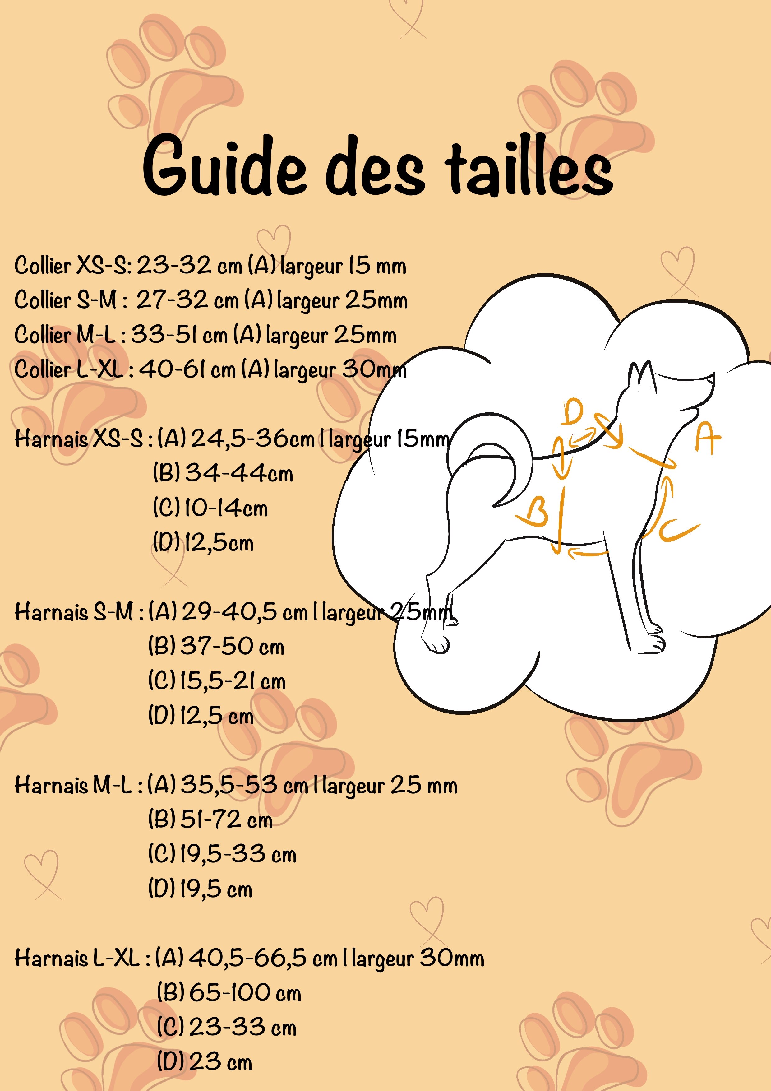 (A) Tour du cou. (B) Tour du ventre. (C) Distance AB entre les pattes avant. (D) Distance AB du dos.