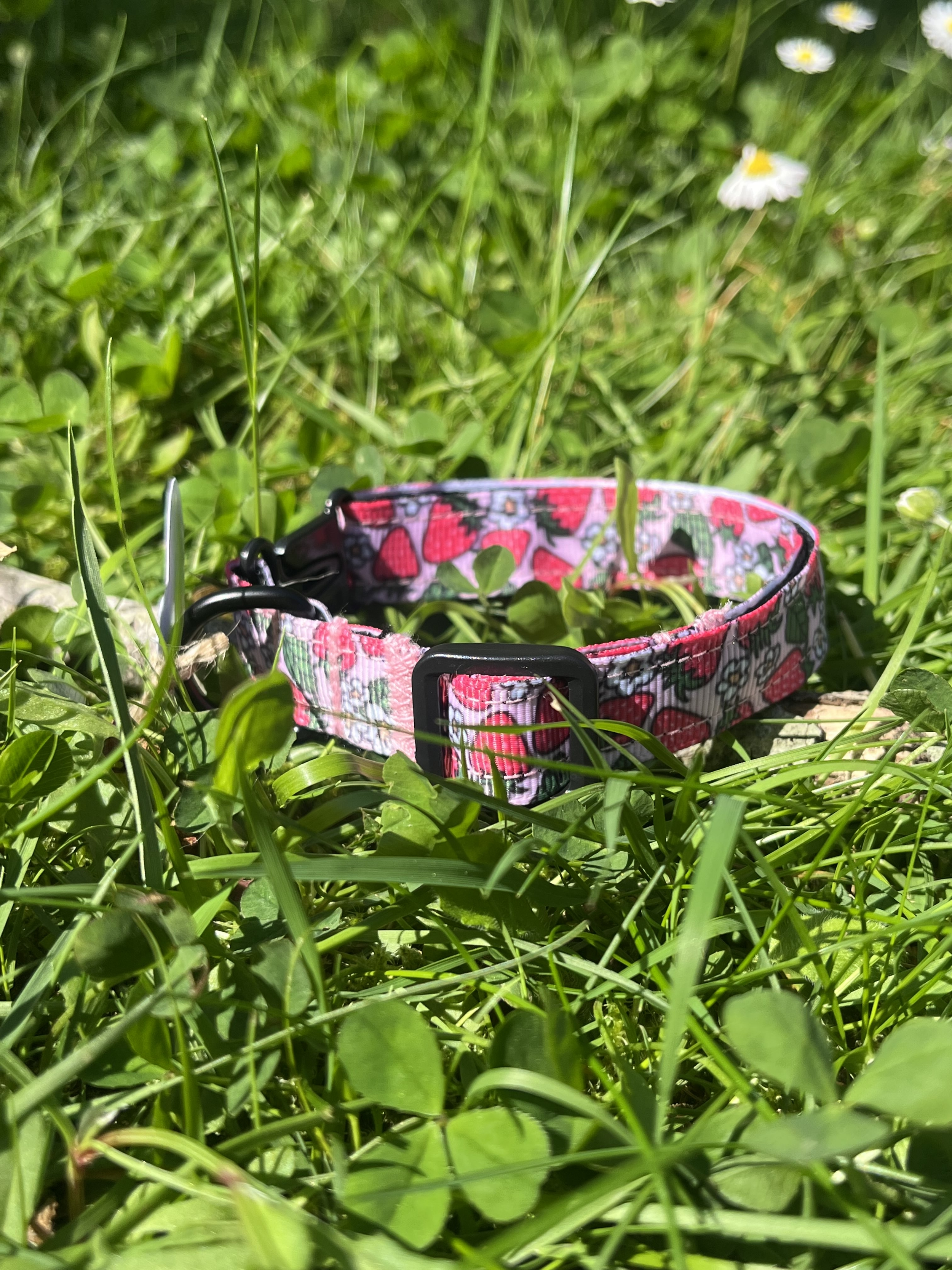 Collier chat Strawberry