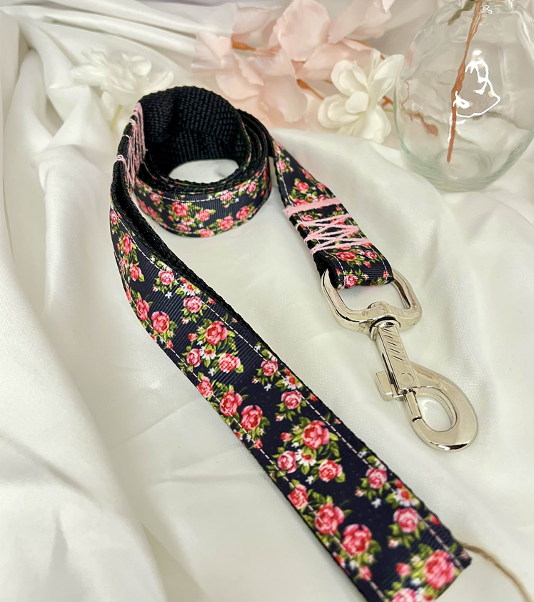 Chien équipé d’un harnais en H et d’une longe explorant un espace naturel en toute sécurité, favorisant détente et stimulation olfactive.