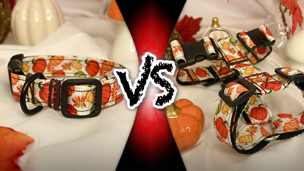 Comparaison entre collier et harnais pour chien montrant l’impact de la traction sur la trachée et l’intérêt d’une meilleure répartition de la pression.