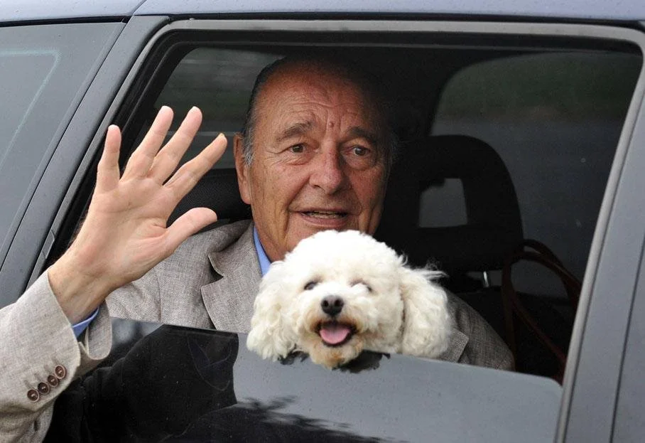 Sumo et Sumette, les chiens de Jacques Chirac