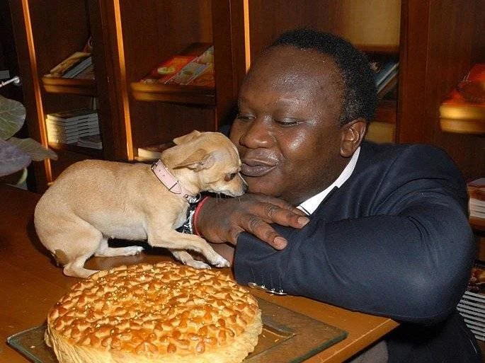 Place Vendome, le Chihuahua de Magloire - source GettyImages