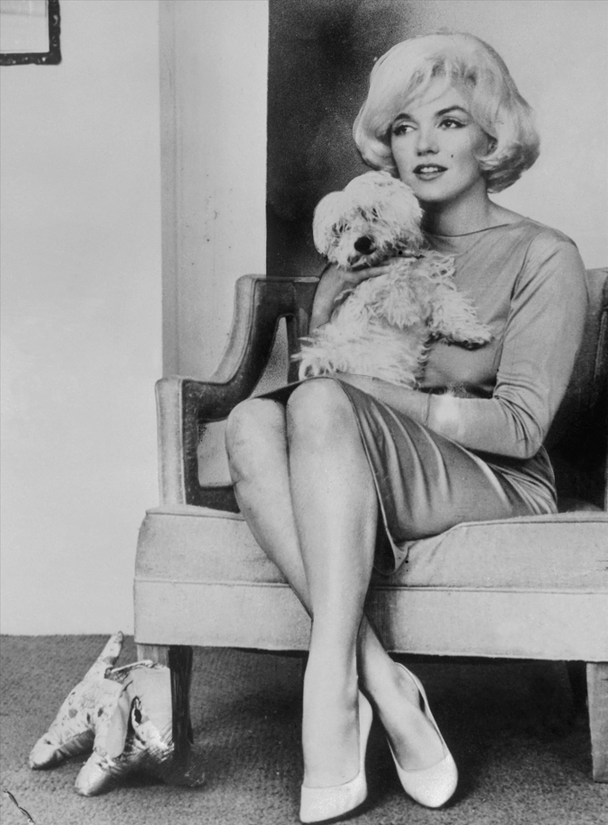 Marilyn Monroe et son bichon blanc Maf - Source Getty Images