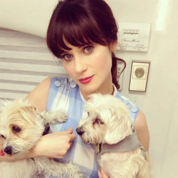 Dot et Zelda, les copines de Zooey Deschanel - source CollegeTimes