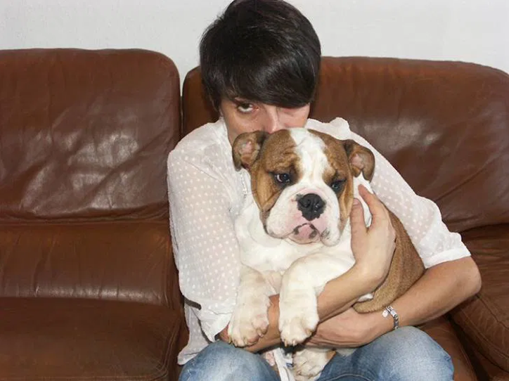 Bernie, le Bouledogue Anglais de Florence Foresti - Source Santevet