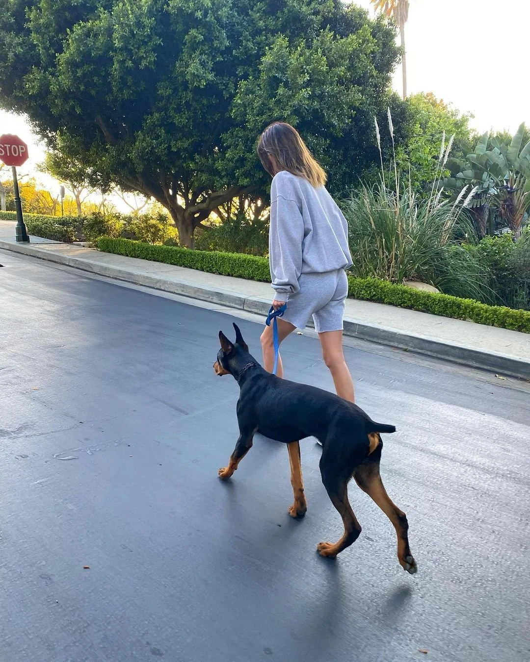Kendall Jenner et sa chienne - Source Instagram @kendaljenner