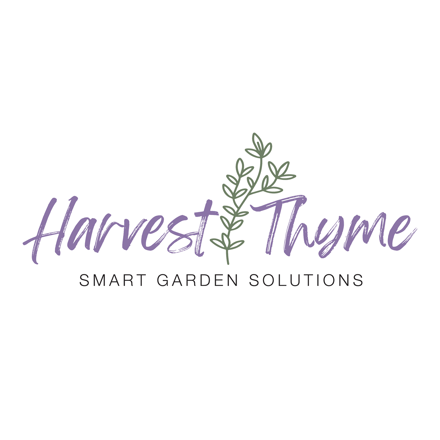 ZCProductions_Client-Logo_Harvest-Thyme.png
