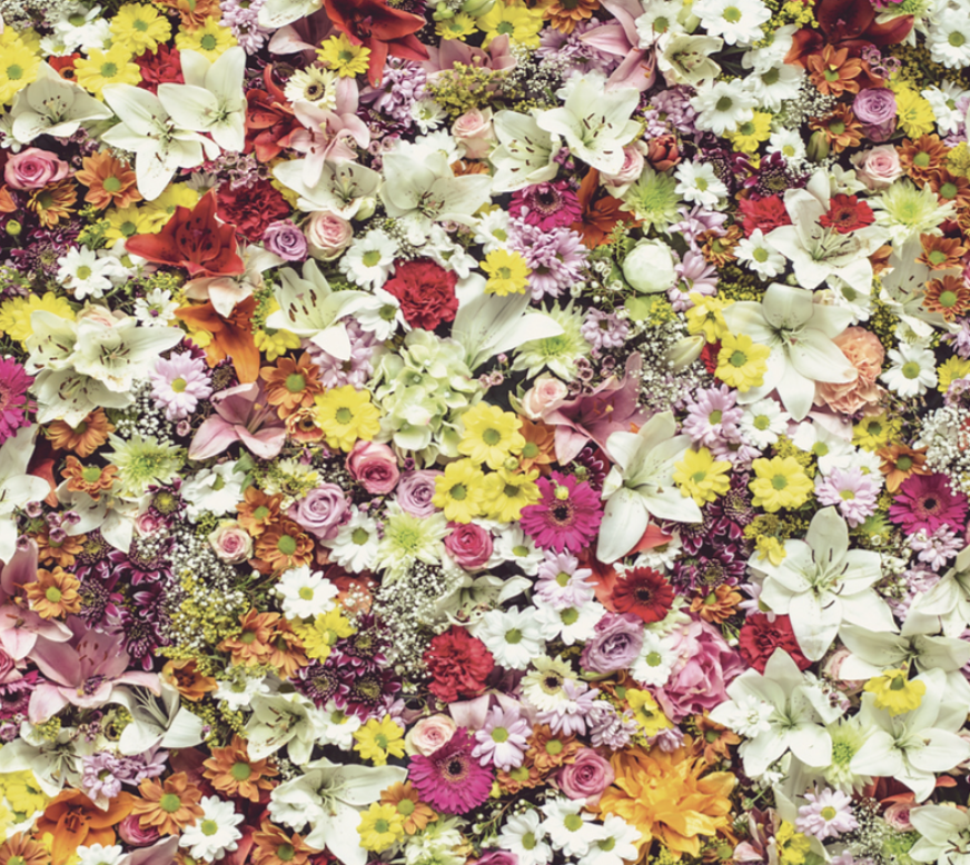 Colorful Floral Arrangement