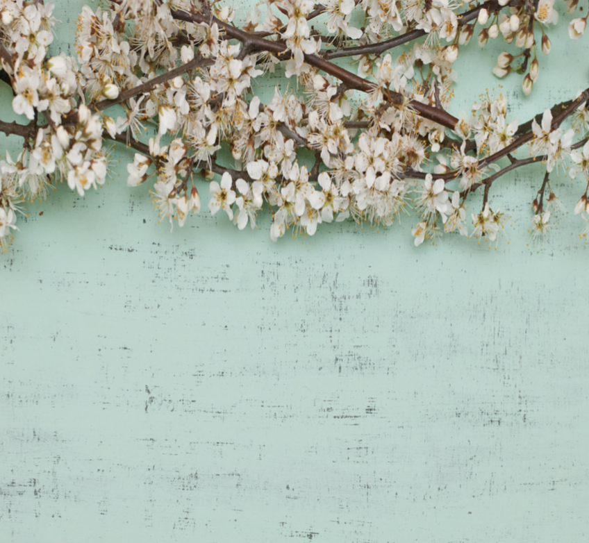 Screenshot 2026-03-27 at 8.18.13 PM.png