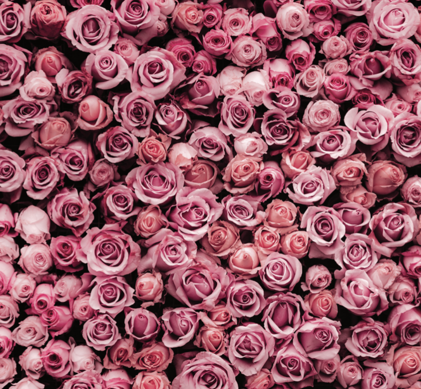 Screenshot 2026-03-27 at 8.16.43 PM.png