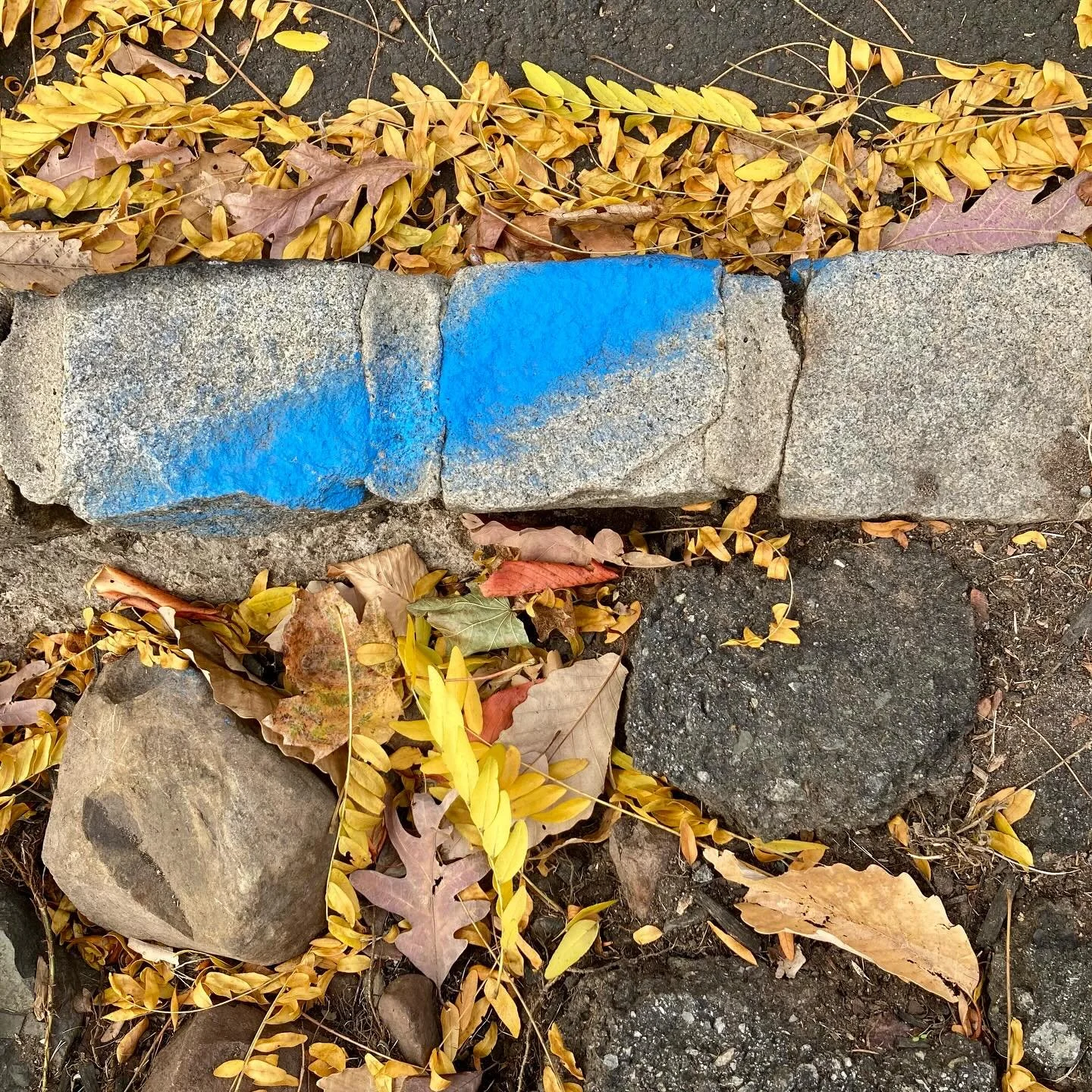 Don&rsquo;t Blue, it&rsquo;s Fall.