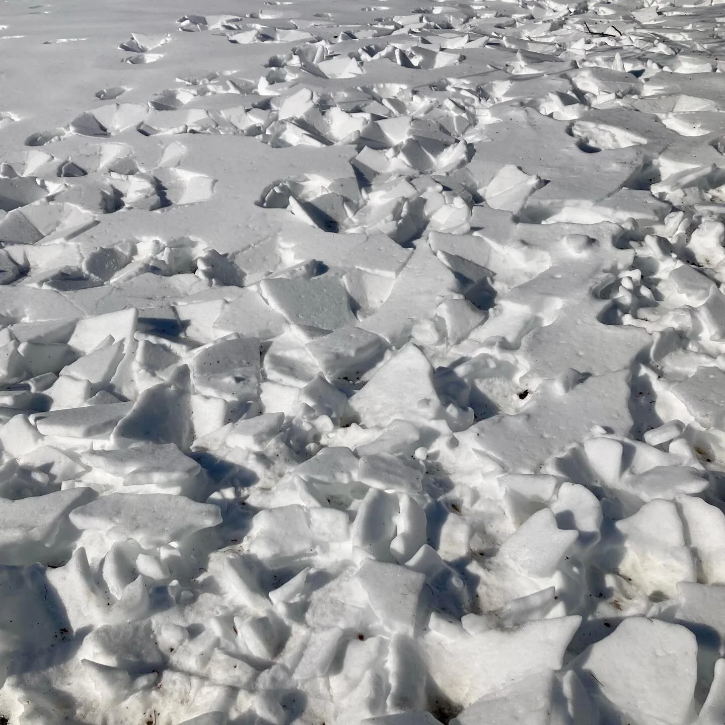 Motives everywhere. 
If Greenland can&rsquo;t be yours, Greenland will come to you. As the modern saying goes&hellip;;)