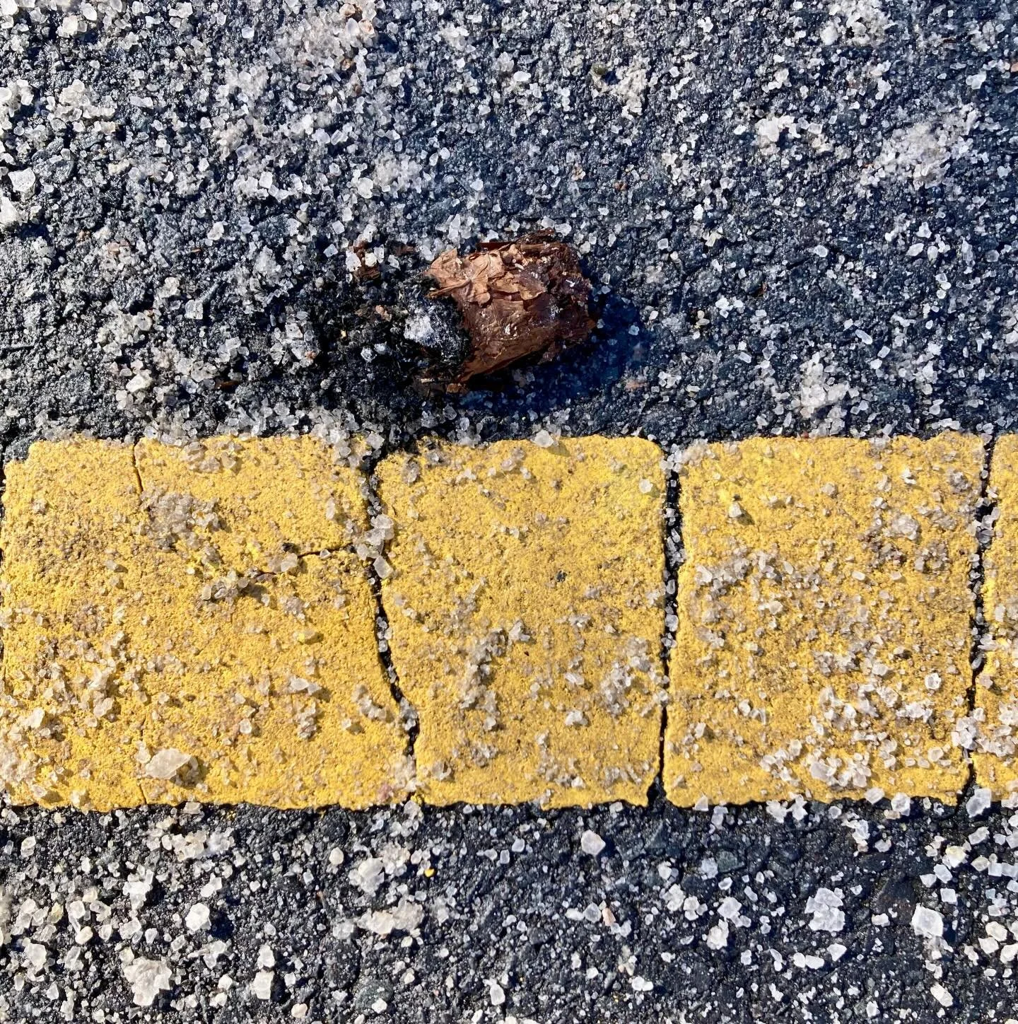 It was still smoking there on the frozen road. Lovely smell. Too bad that it doesn&rsquo;t taste as good as it smells. Fastback to New Year&rsquo;s Eves.

These experiences you don&rsquo;t come across while driving in a car. 

Get out biking!