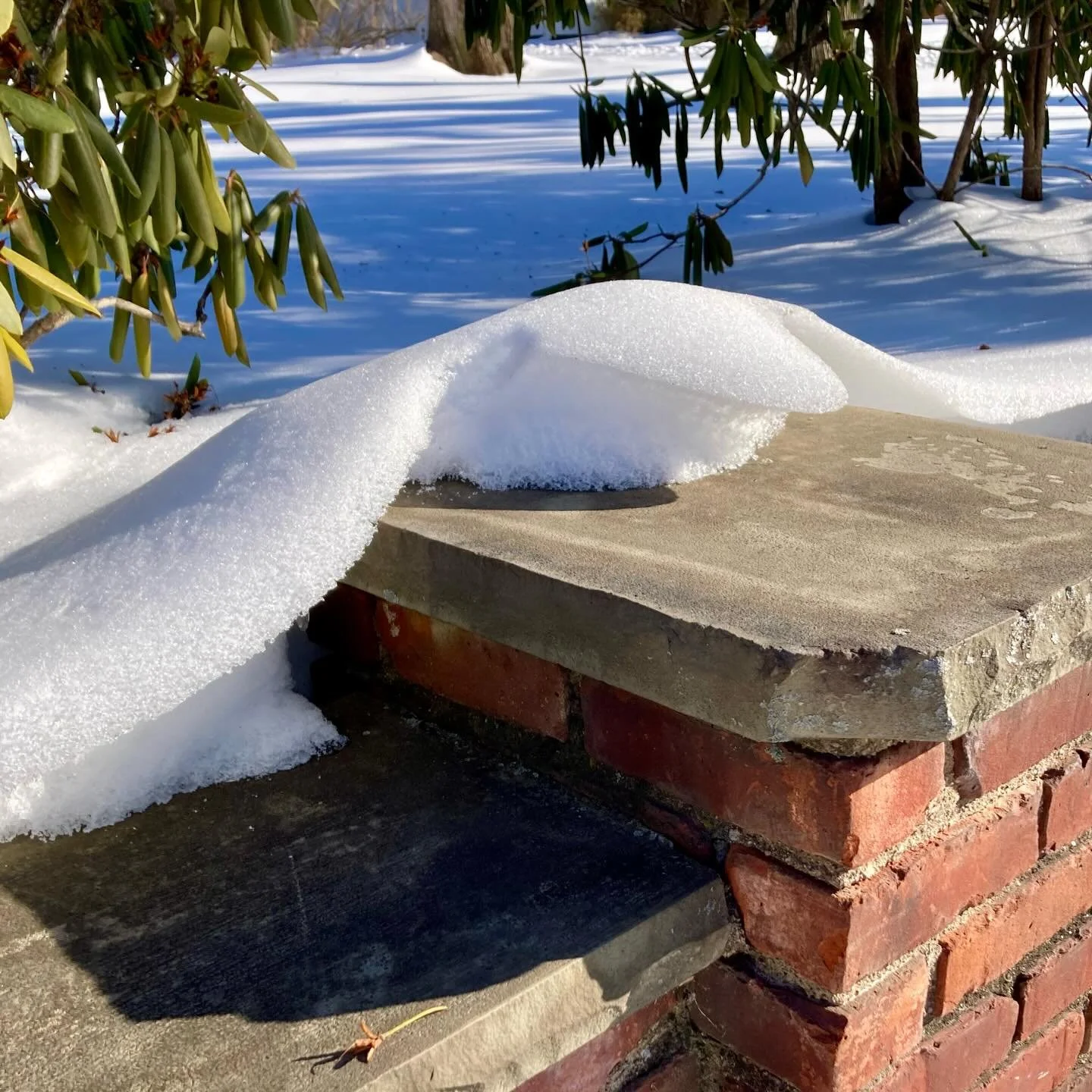 Nature is the best designer. Look at that aerodynamic shape. Manta ray in the house. Space ship meets surfing.