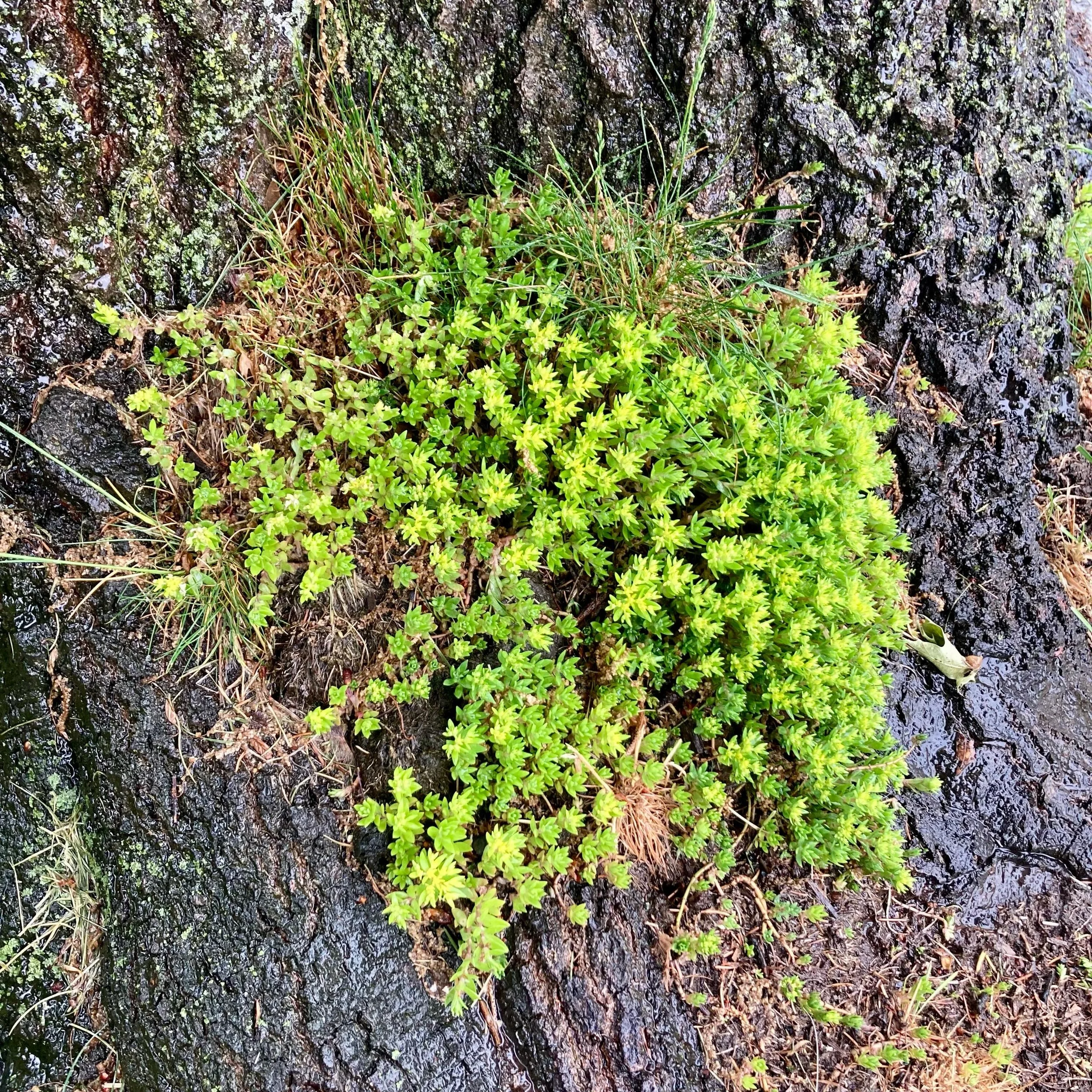 Keep growing.