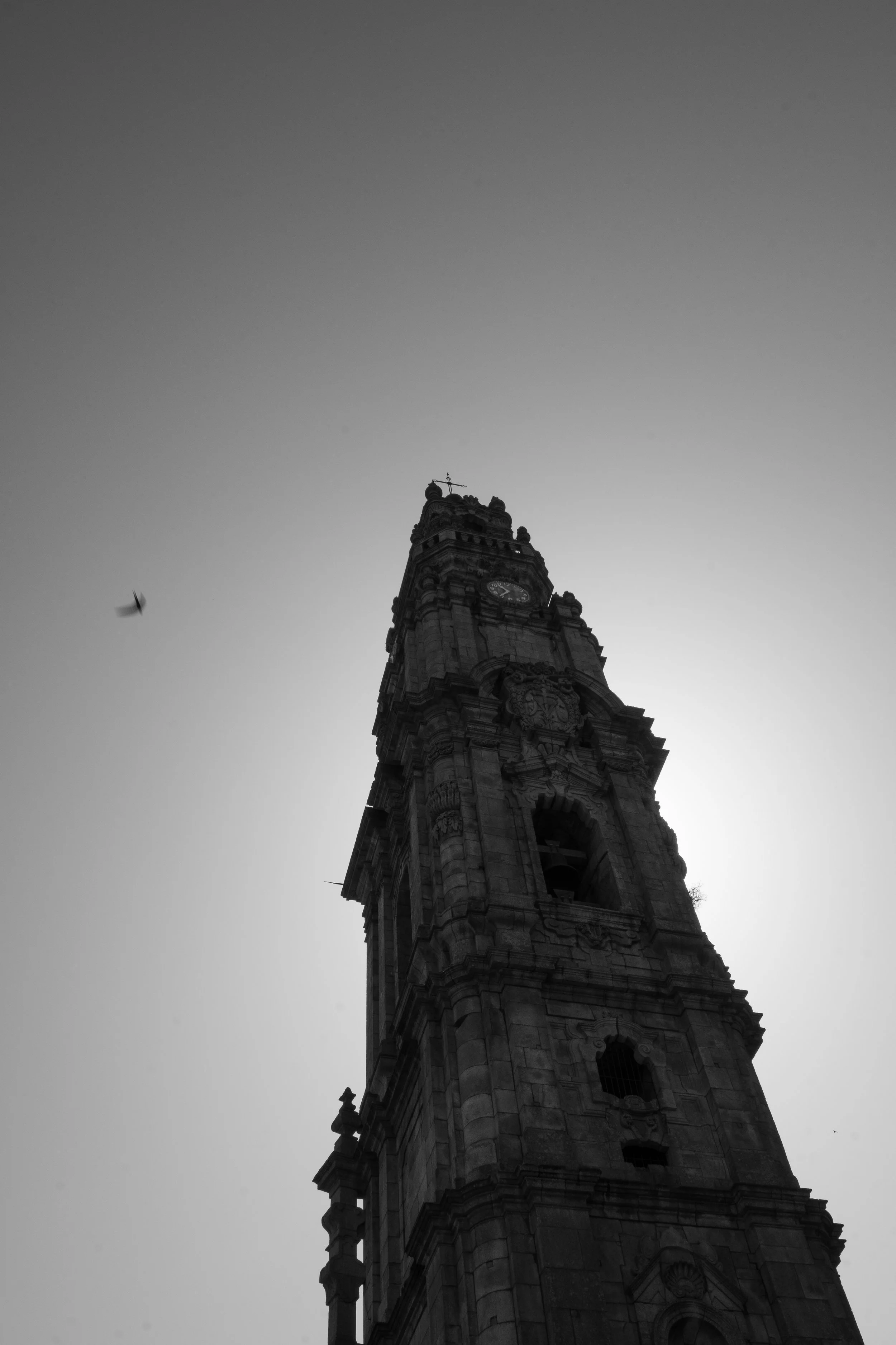 DSC_1992.jpg