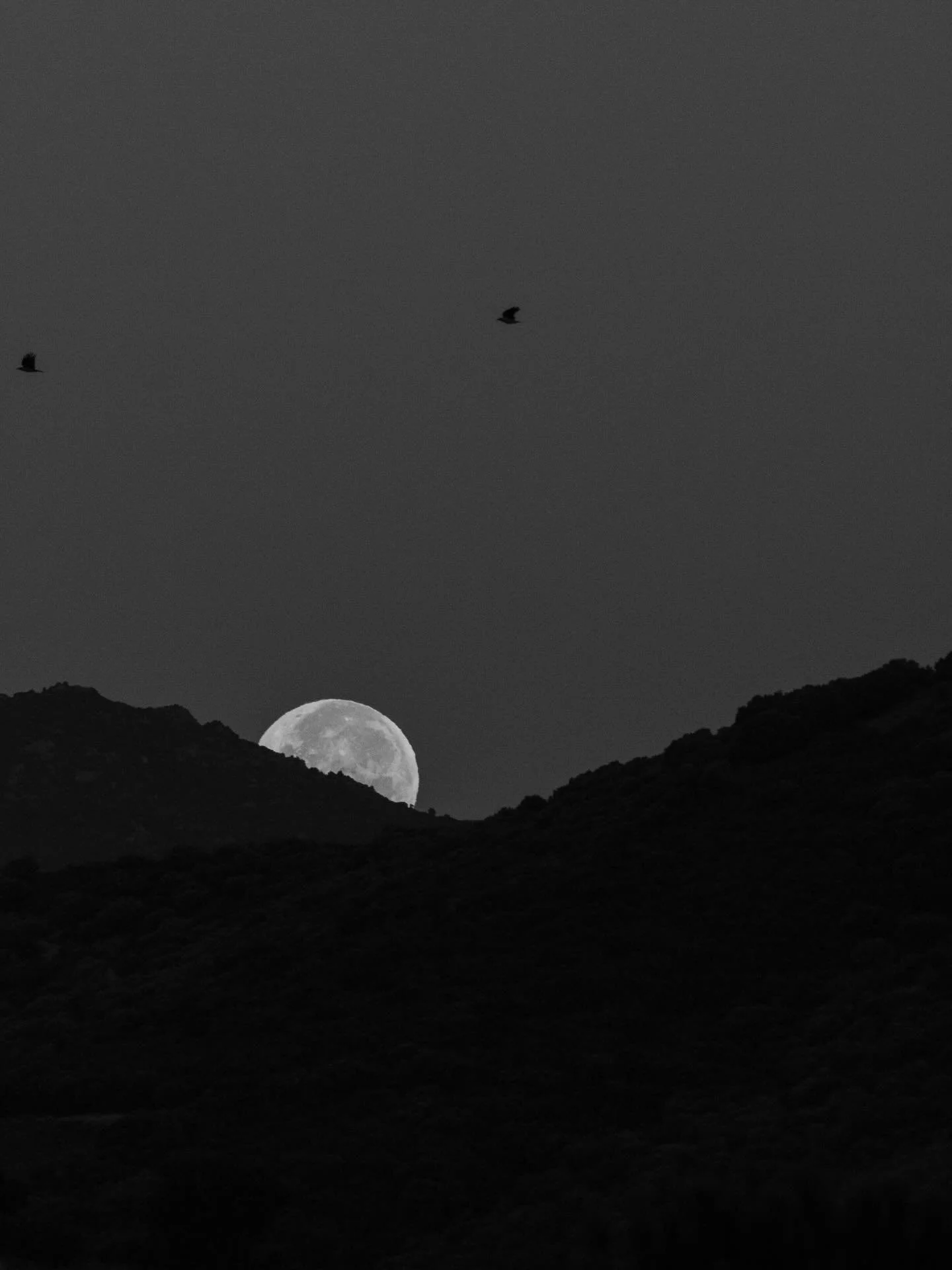 Je regarde le ciel et une lueur m&rsquo;attrape.
Je ne sais plus si c&rsquo;est la lune qui s&rsquo;attarde,
le soleil qui s&rsquo;&eacute;veille,
ou le soir qui s&rsquo;installe en silence.