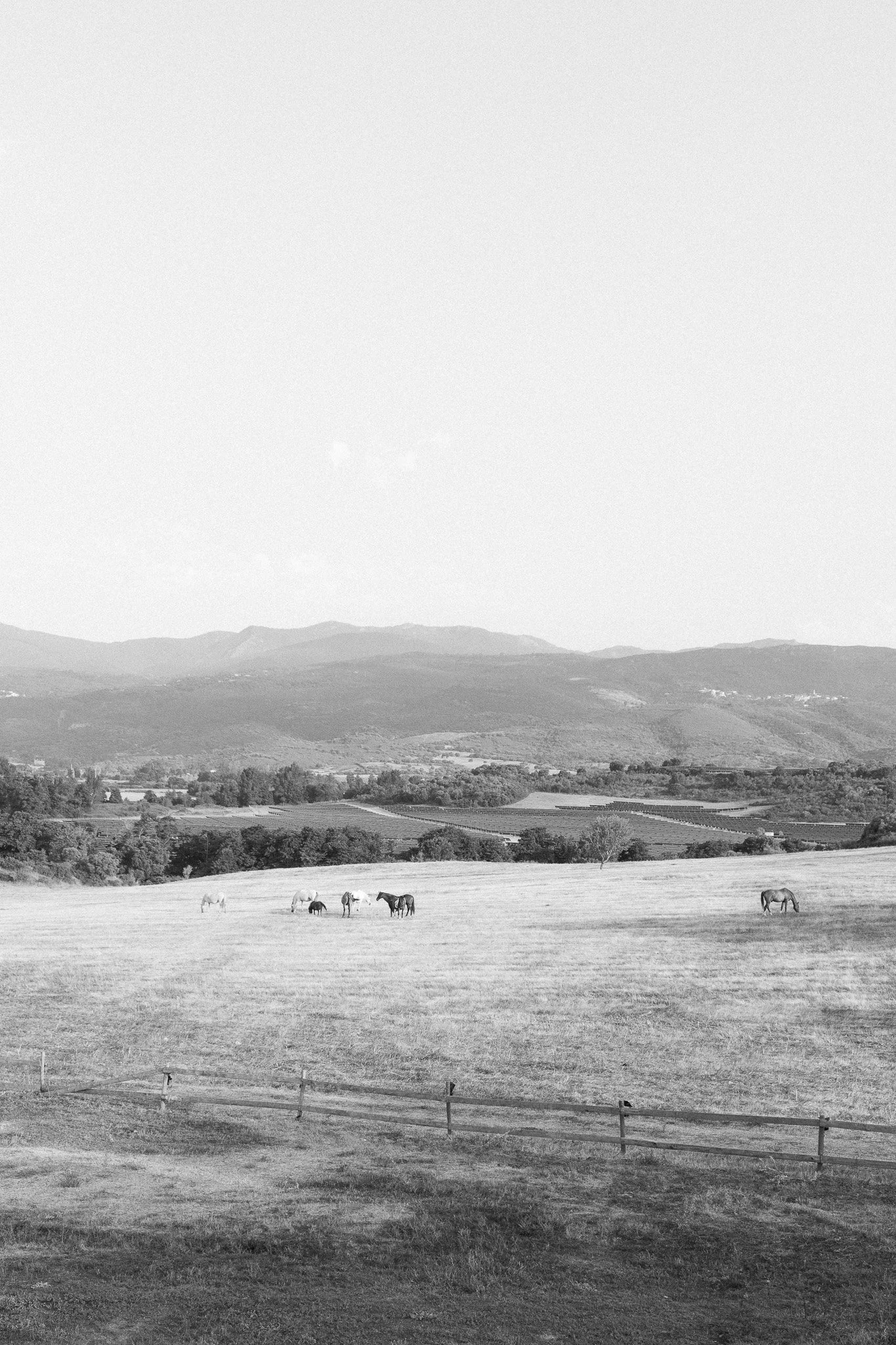 DSC_4662.jpg
