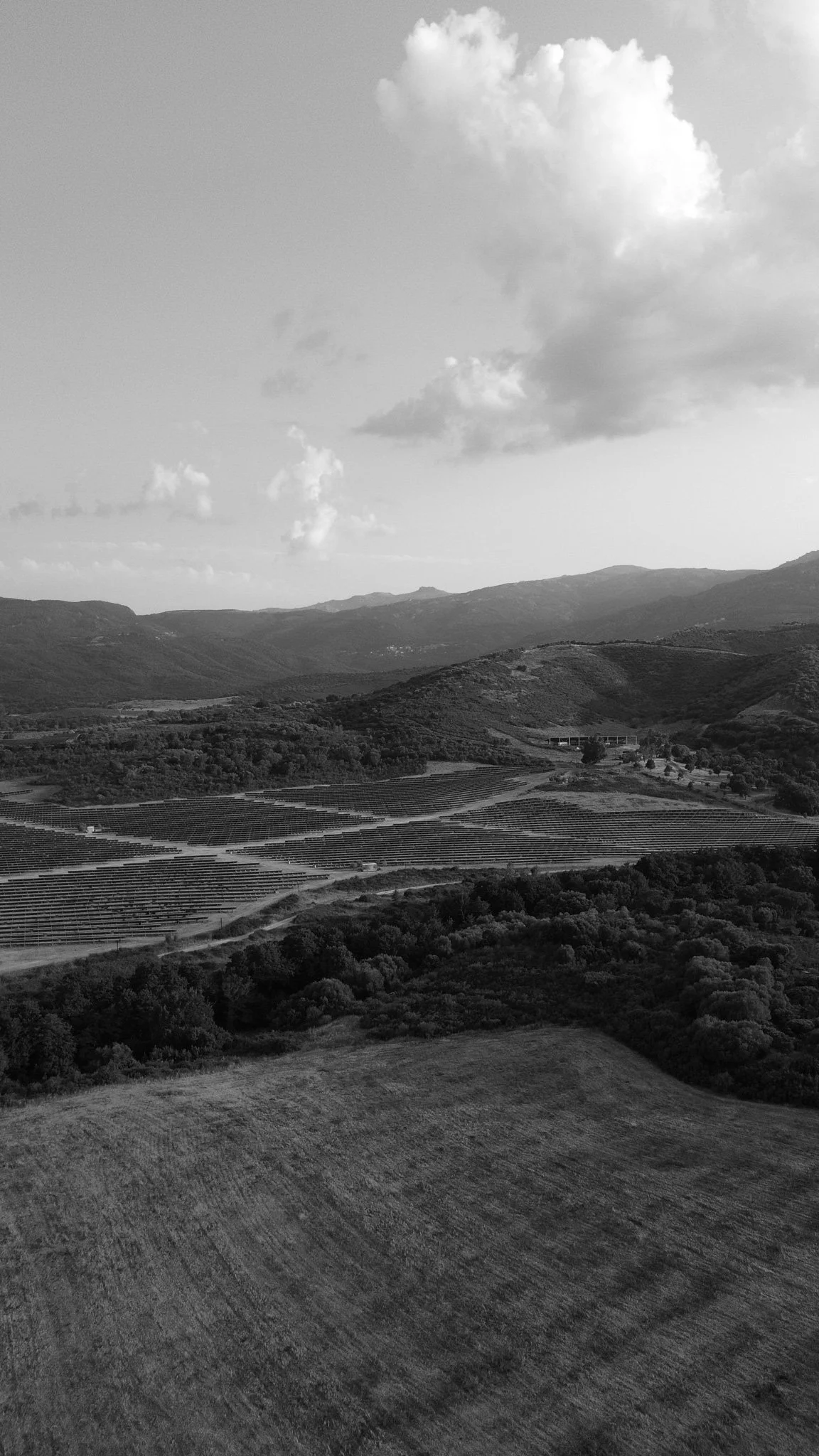 DJI_0689.jpg