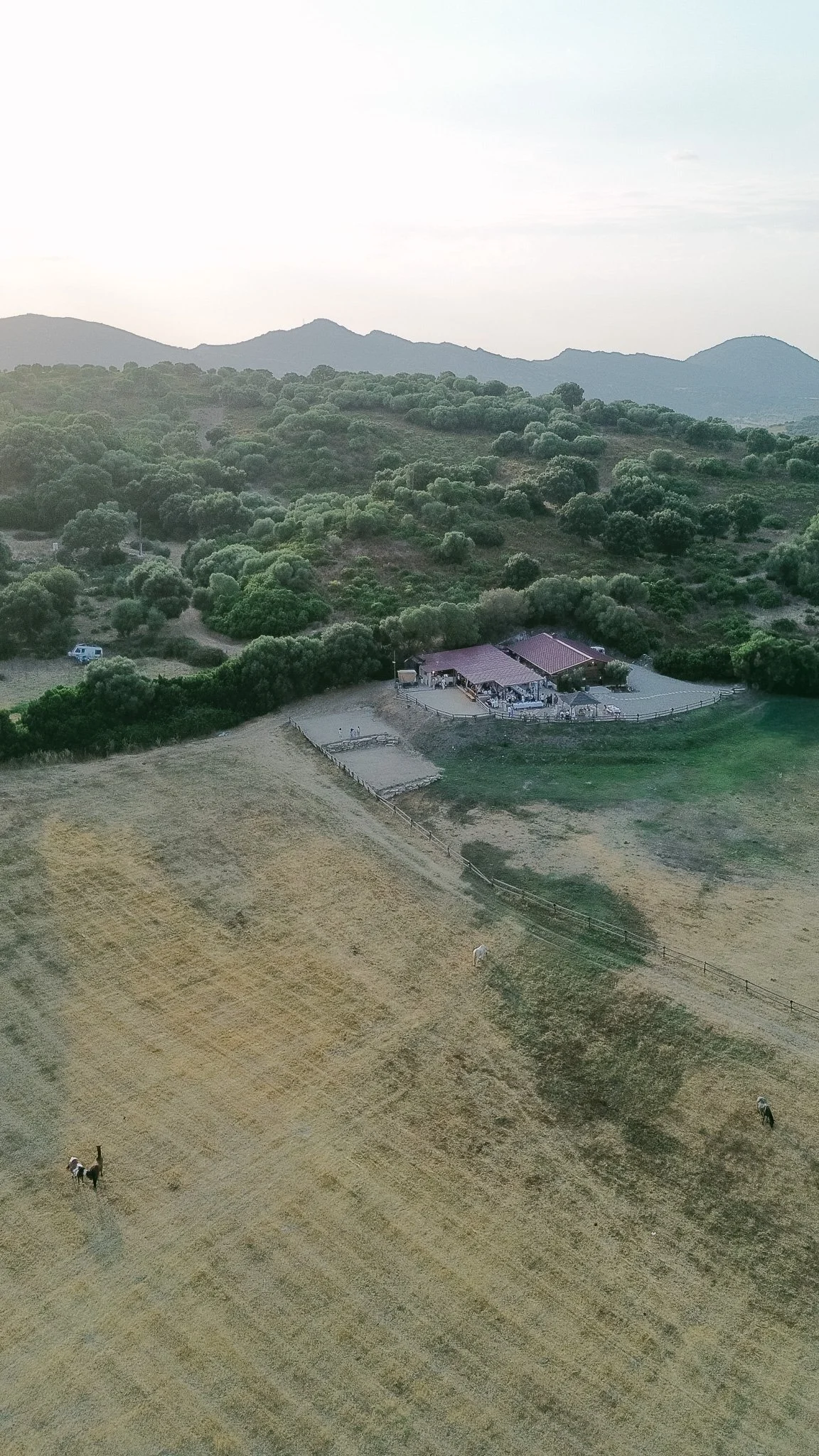 DJI_0687.jpg