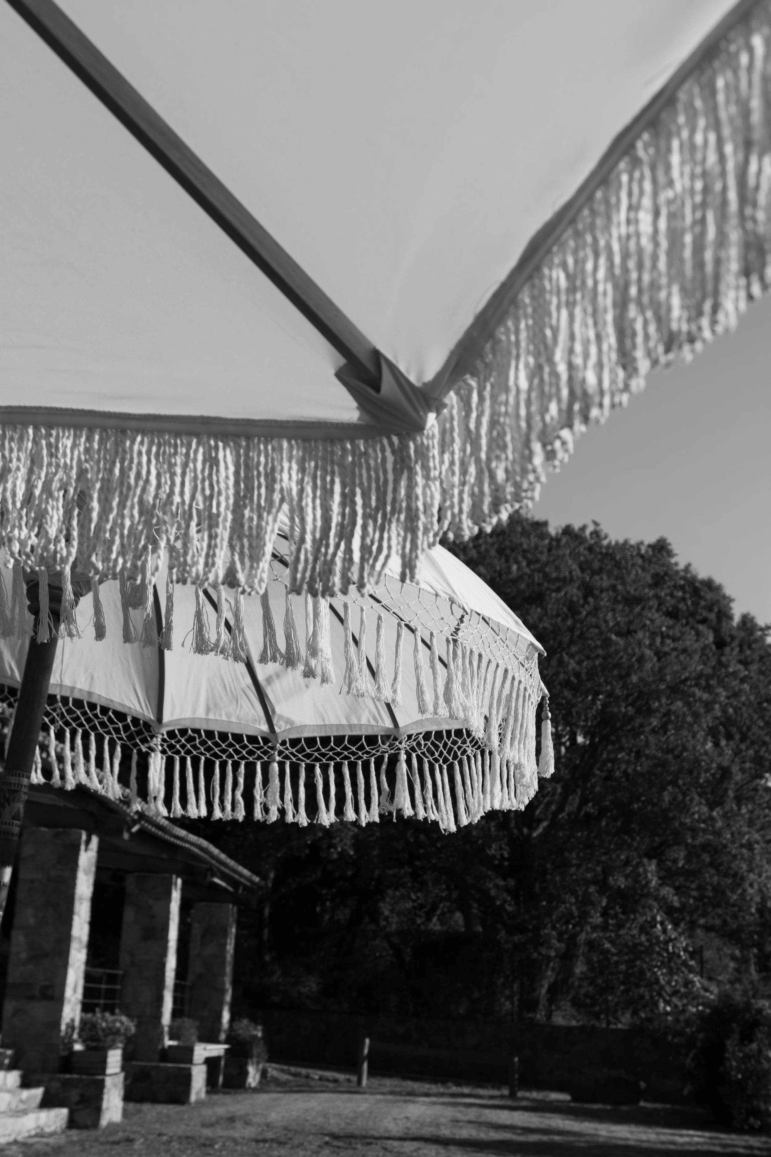 DSC_1134.jpg