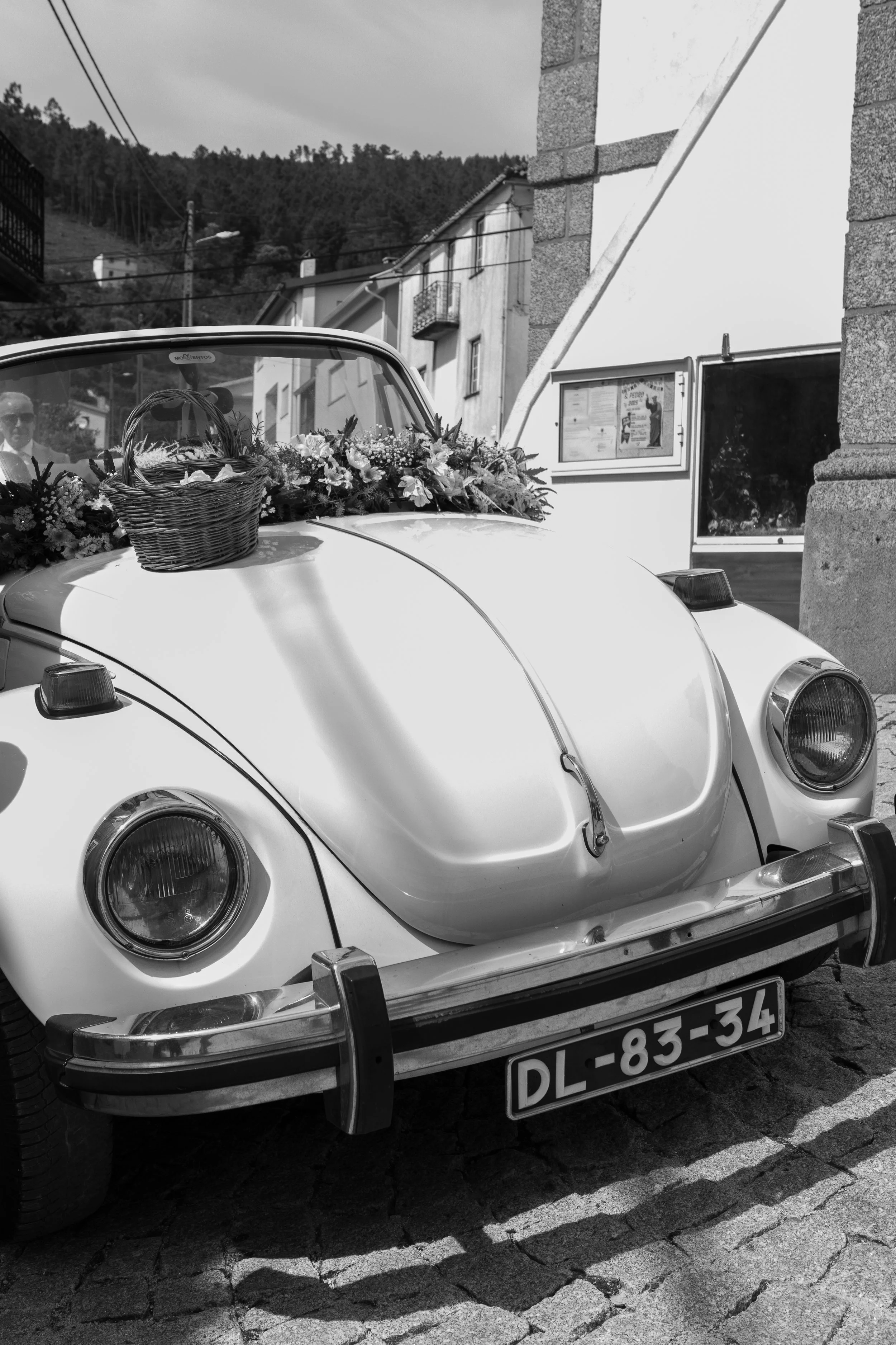 DSC_2587.jpg