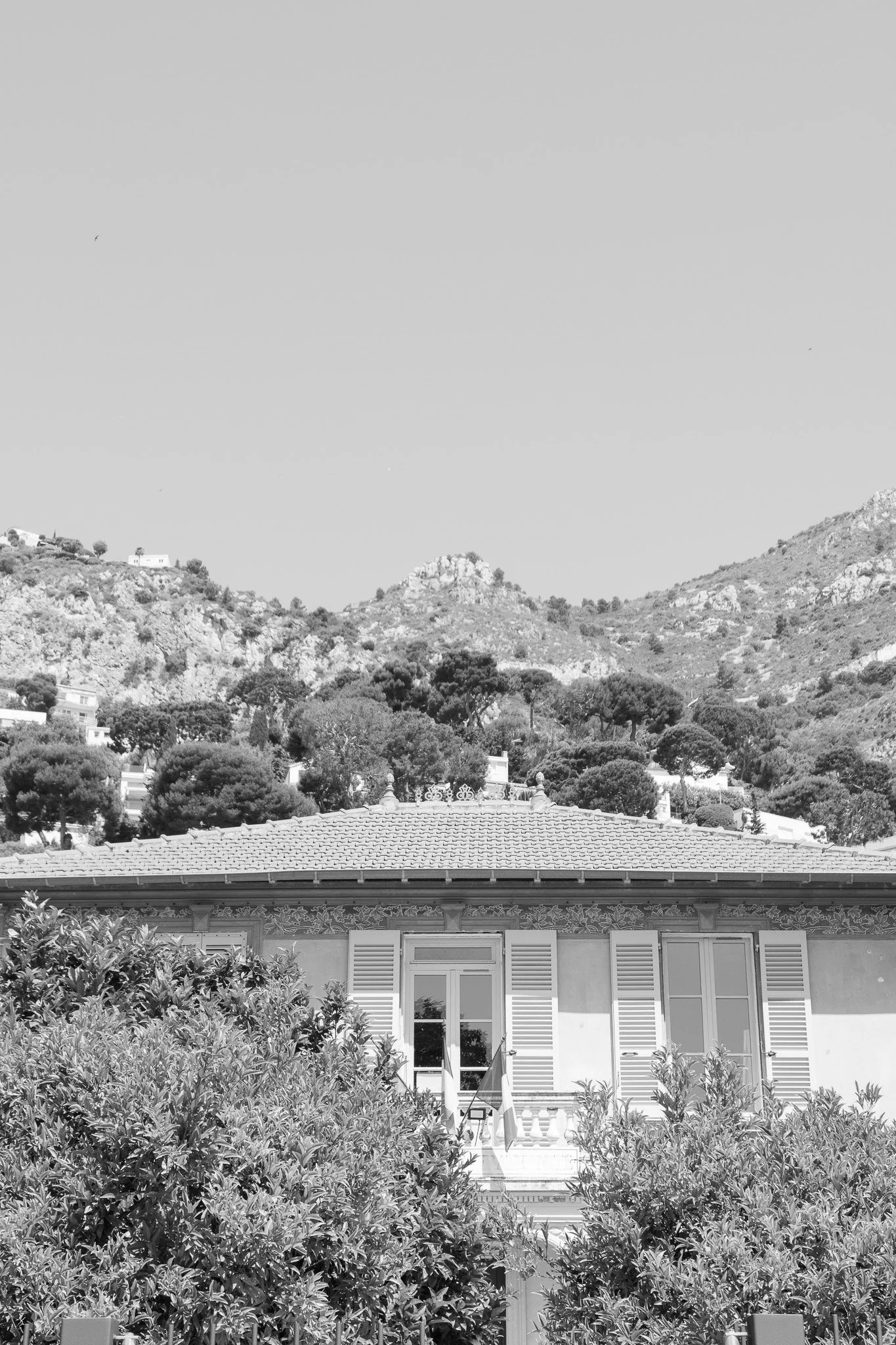 DSC_6975.jpg