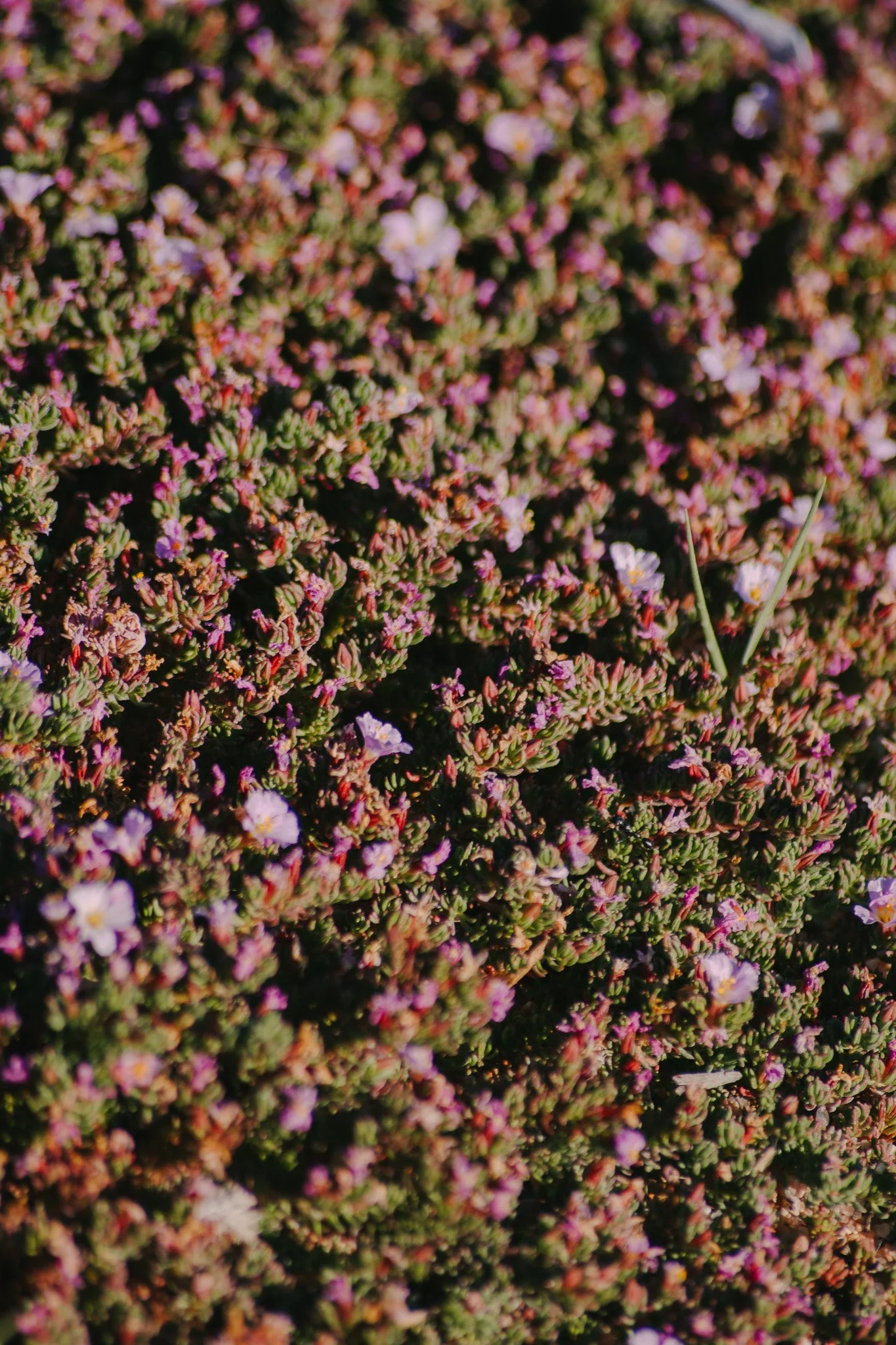 LEC_0235.jpg
